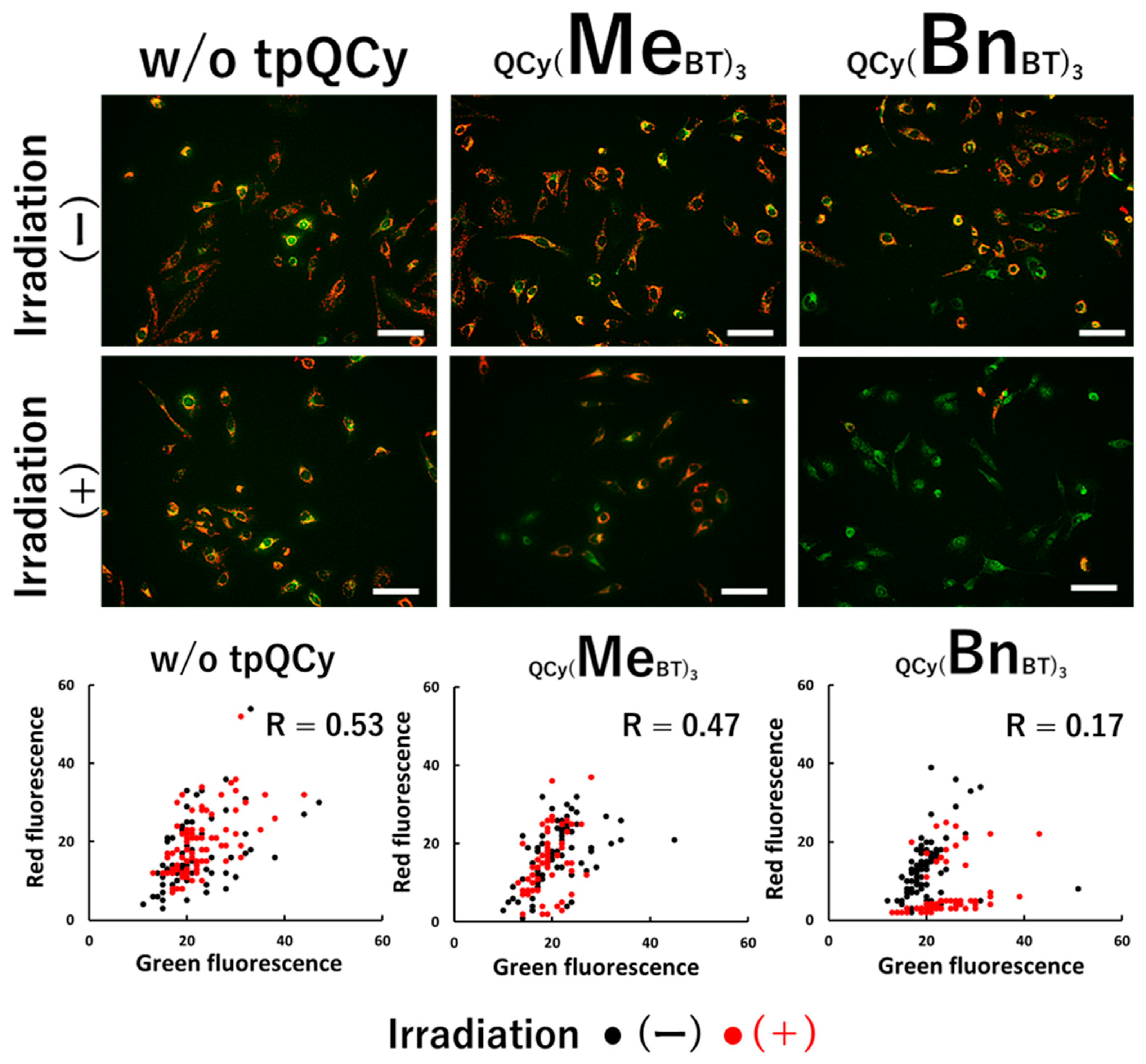 Molecules 29 05094 g005