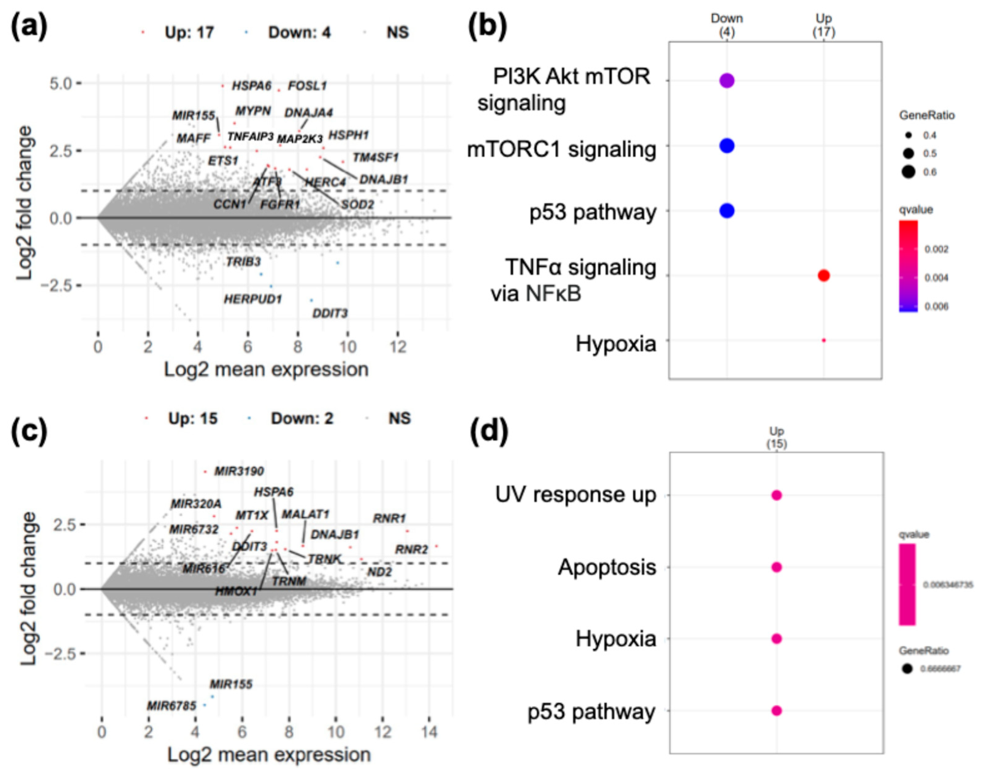 Molecules 29 05094 g006