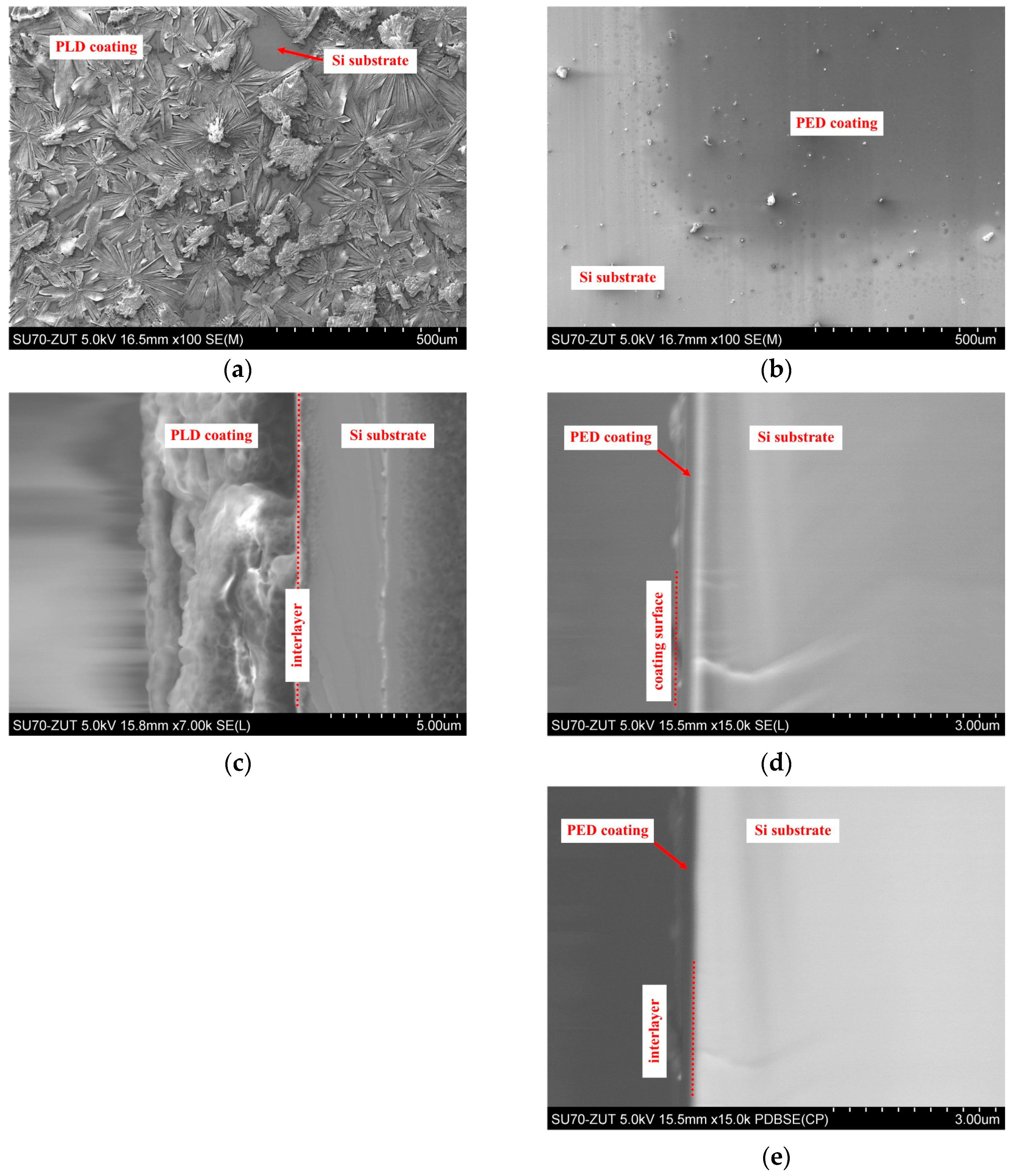 Molecules 29 05095 g002
