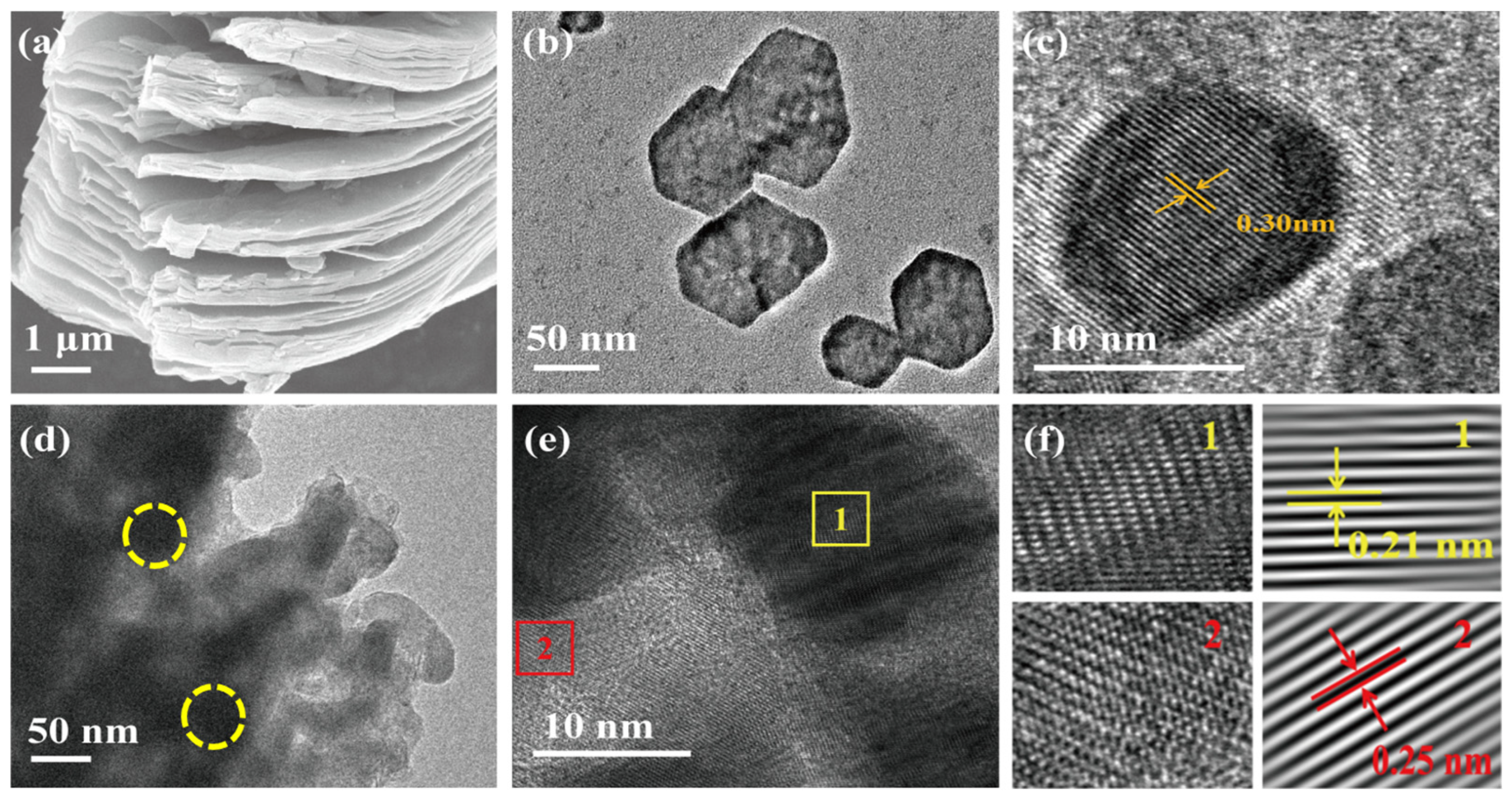 Molecules 29 05096 g001