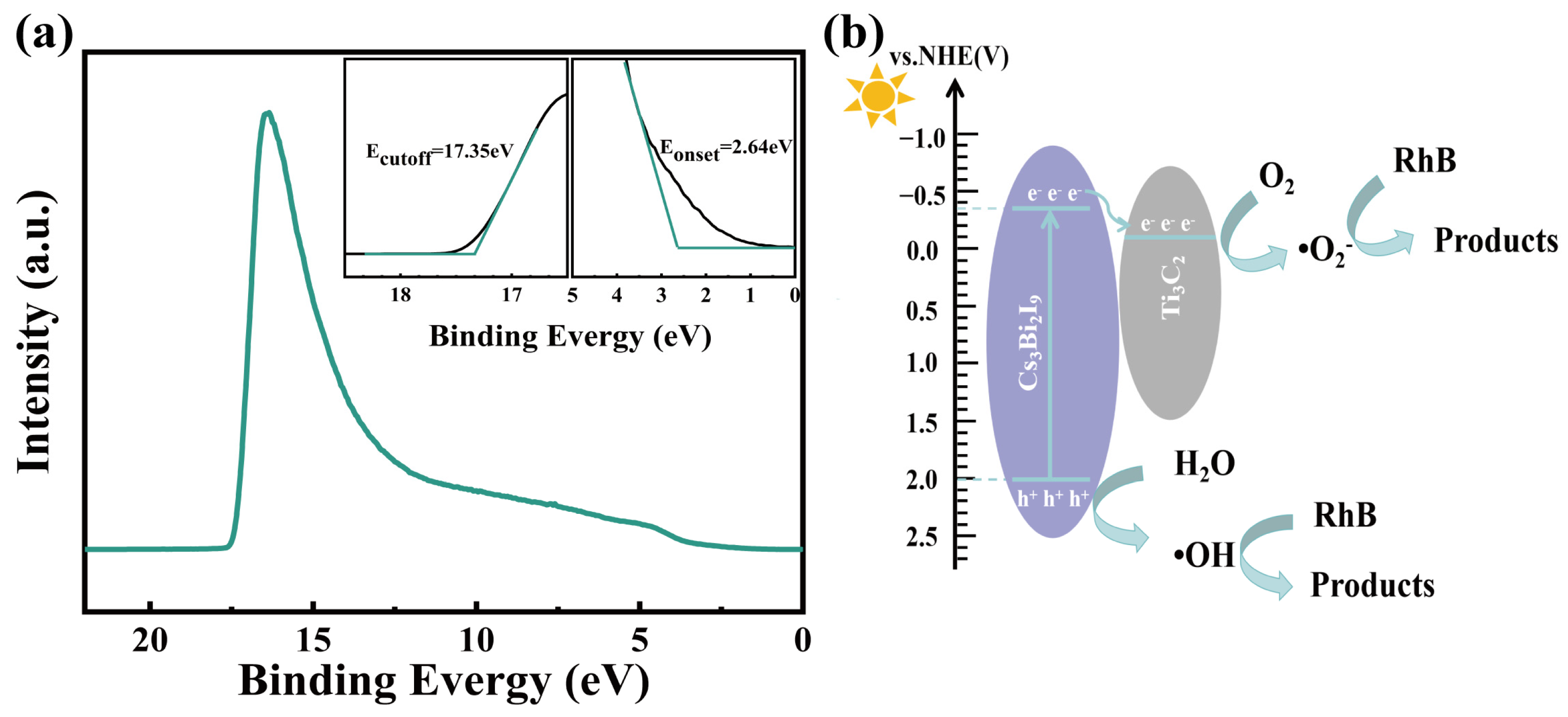 Molecules 29 05096 g006