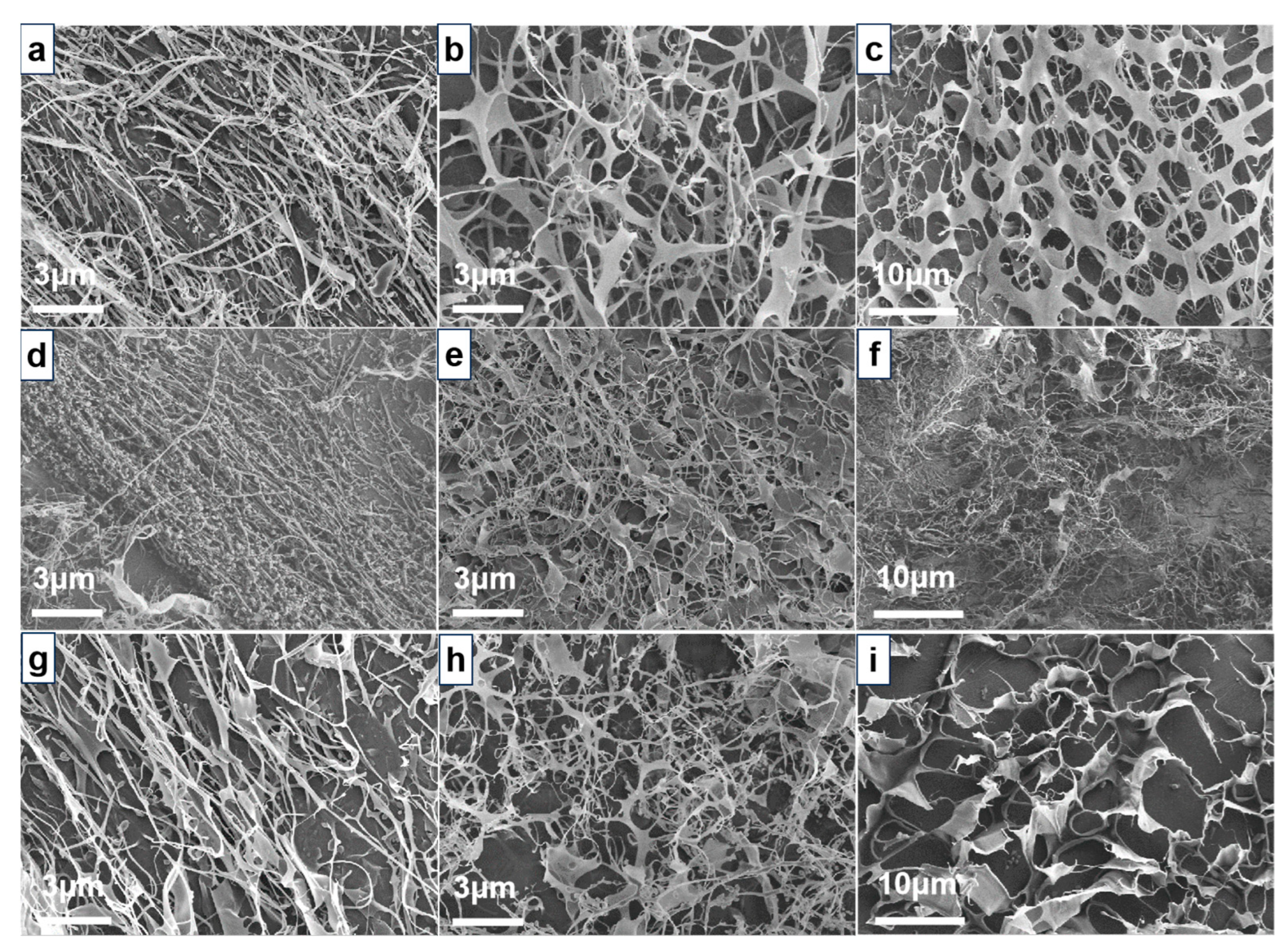 Molecules 29 05105 g006