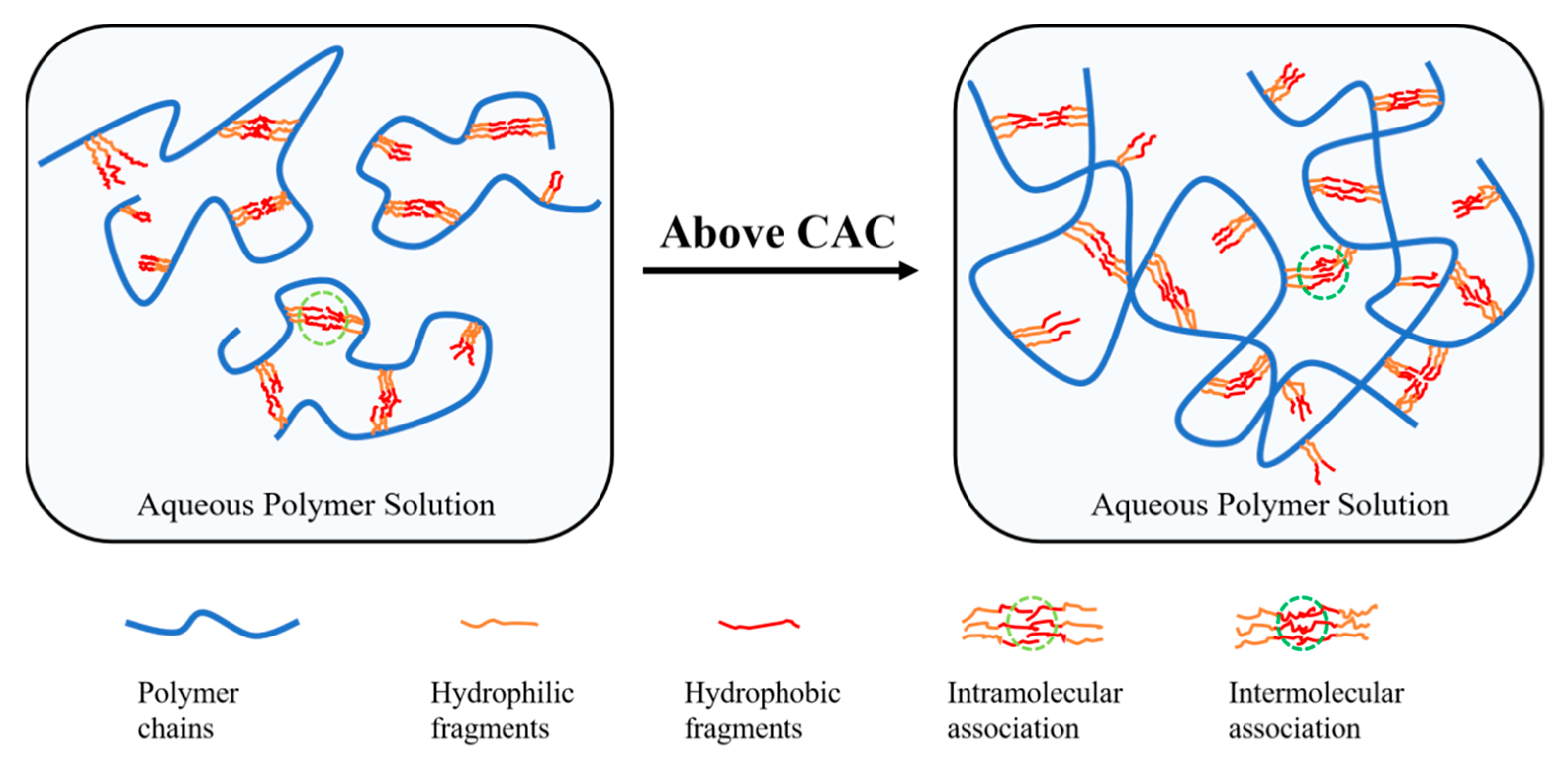 Molecules 29 05105 g007