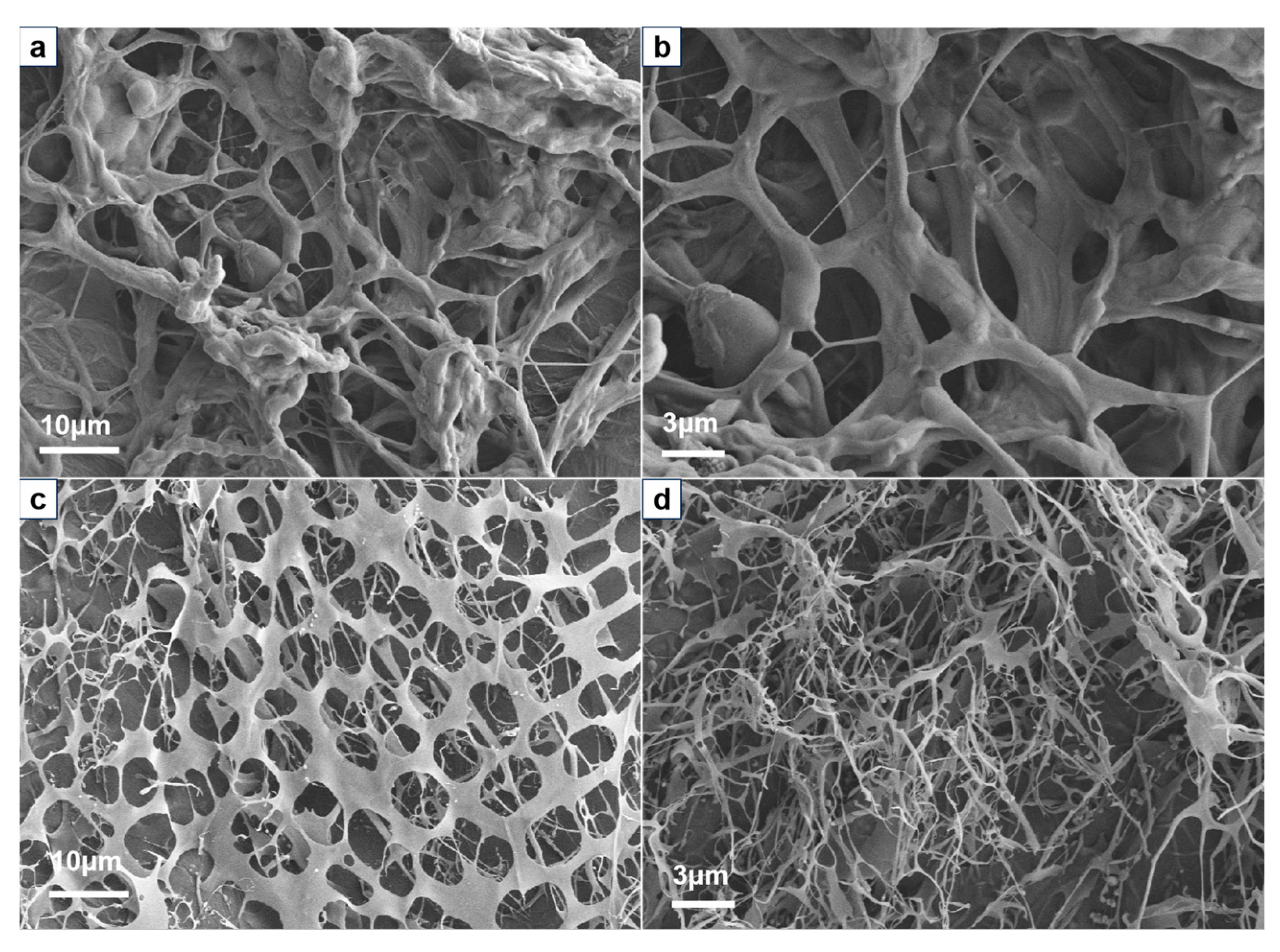 Molecules 29 05105 g009