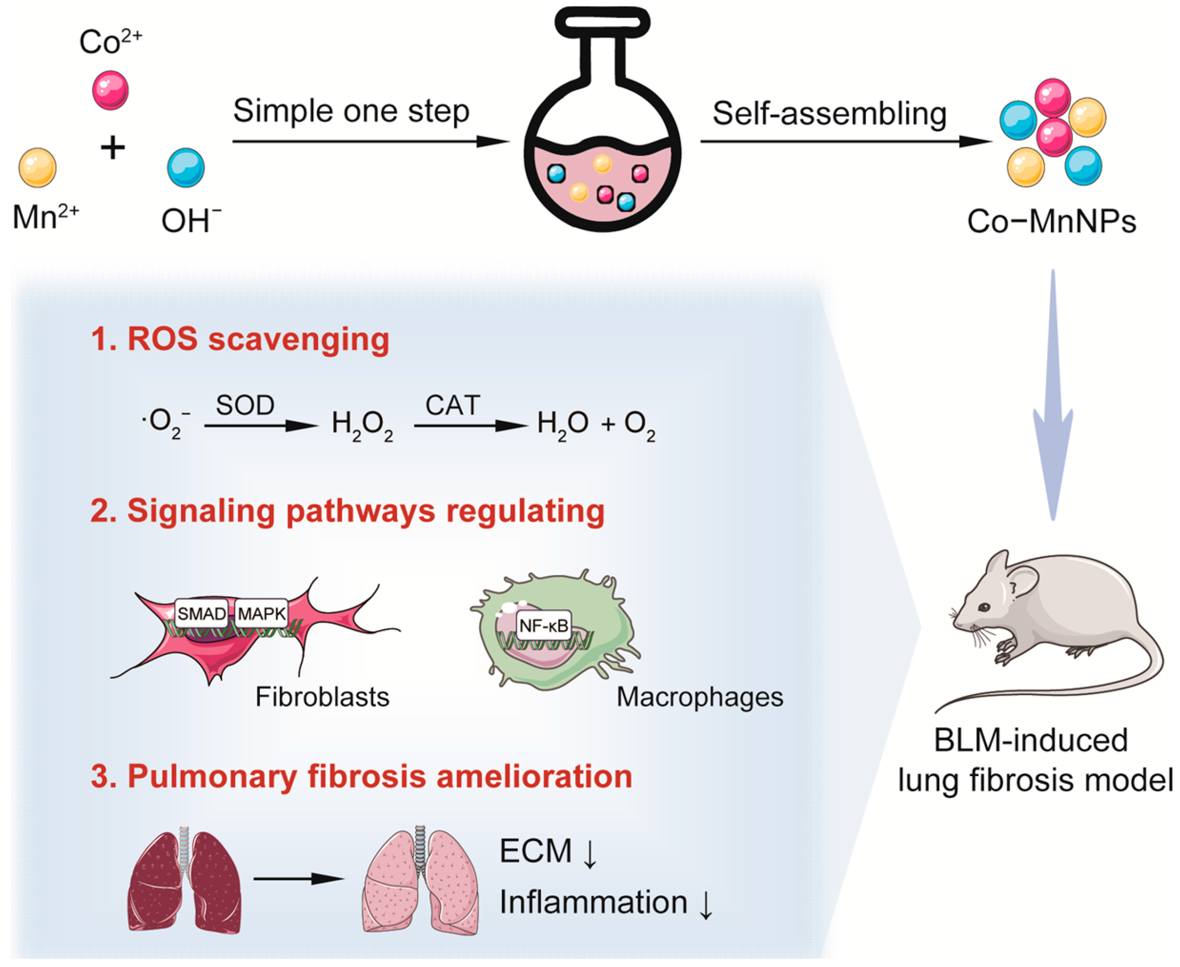 Molecules 29 05106 g001