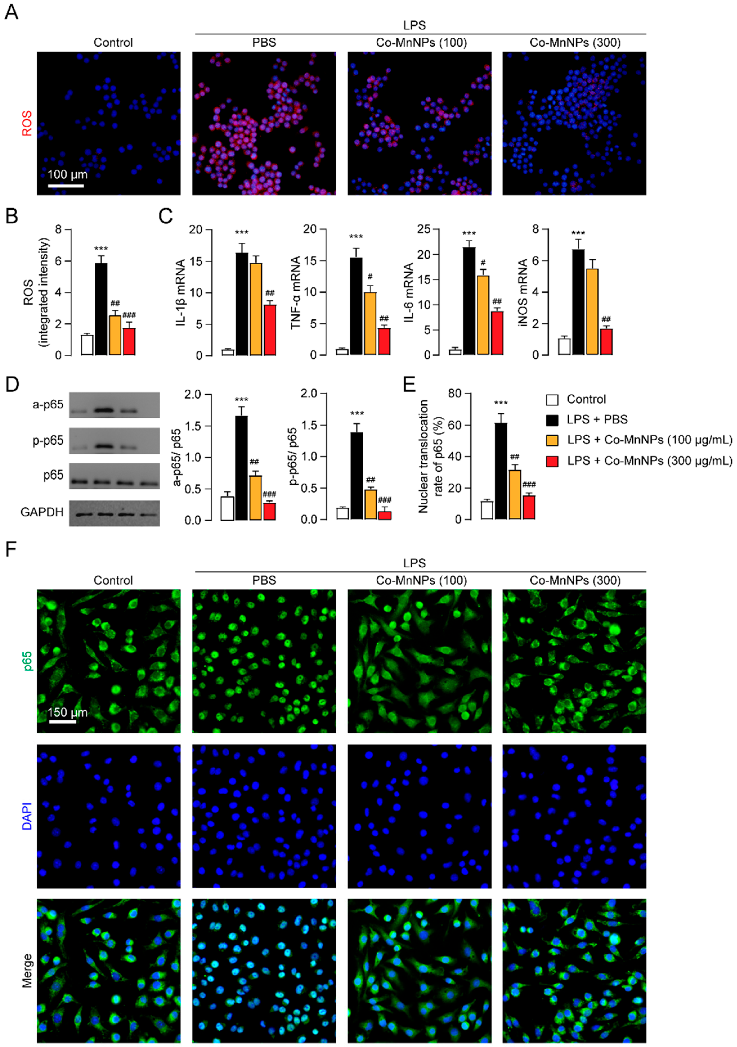 Molecules 29 05106 g004