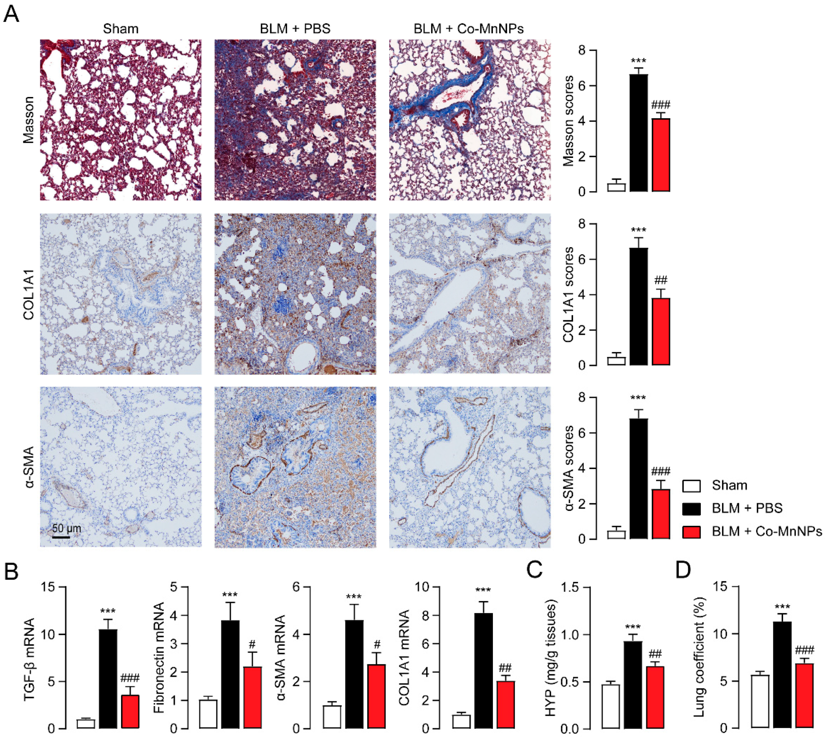 Molecules 29 05106 g005
