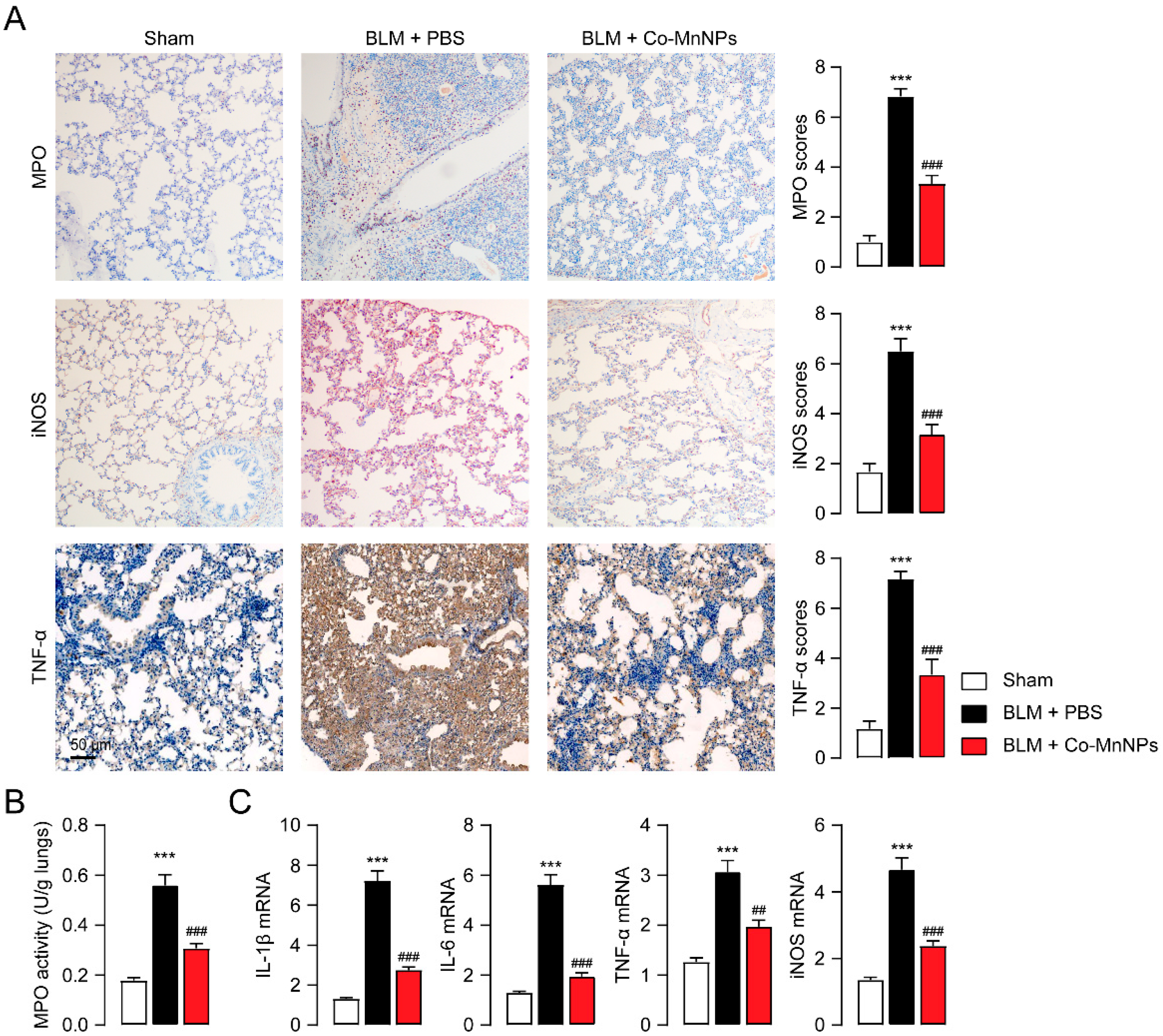 Molecules 29 05106 g006