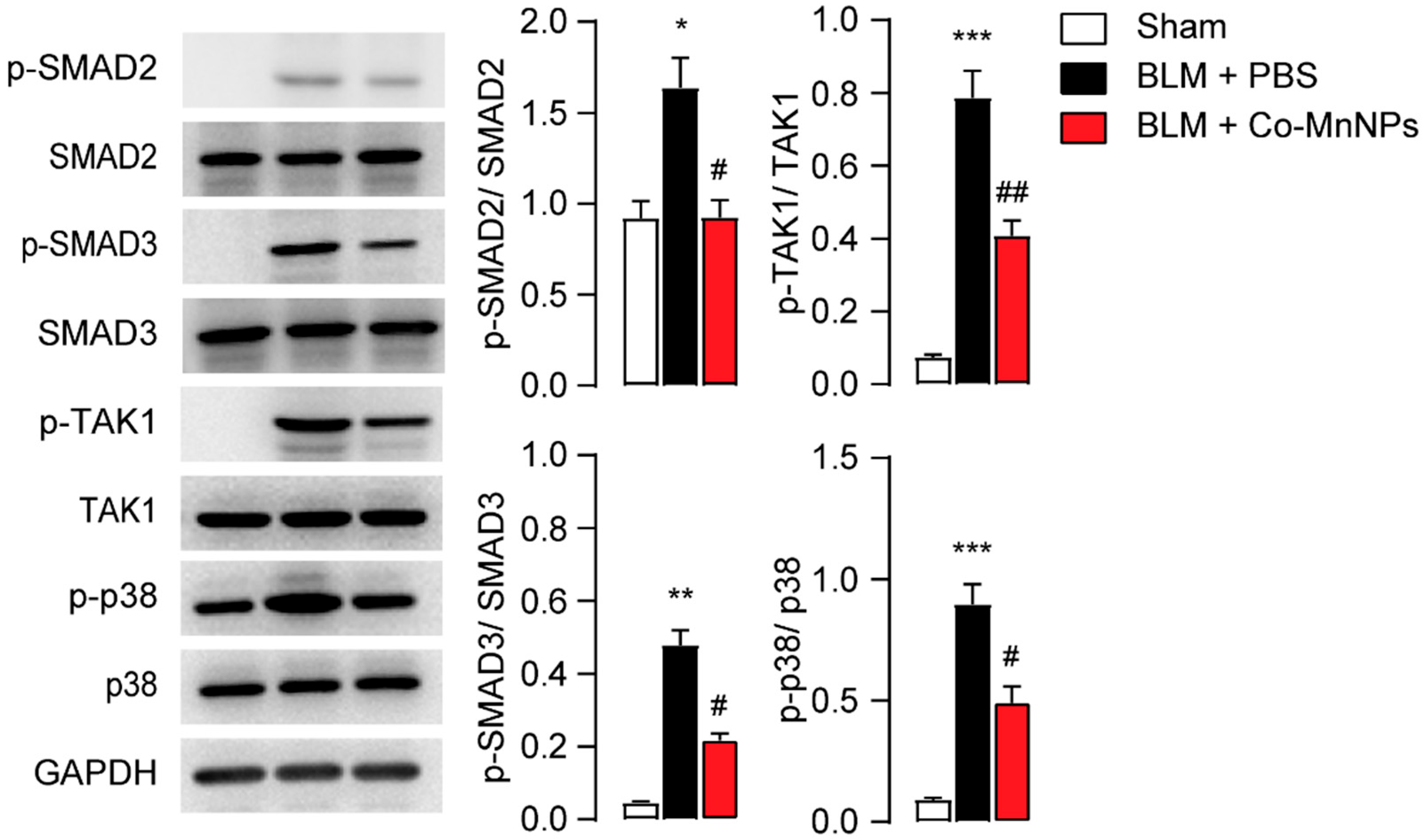 Molecules 29 05106 g007
