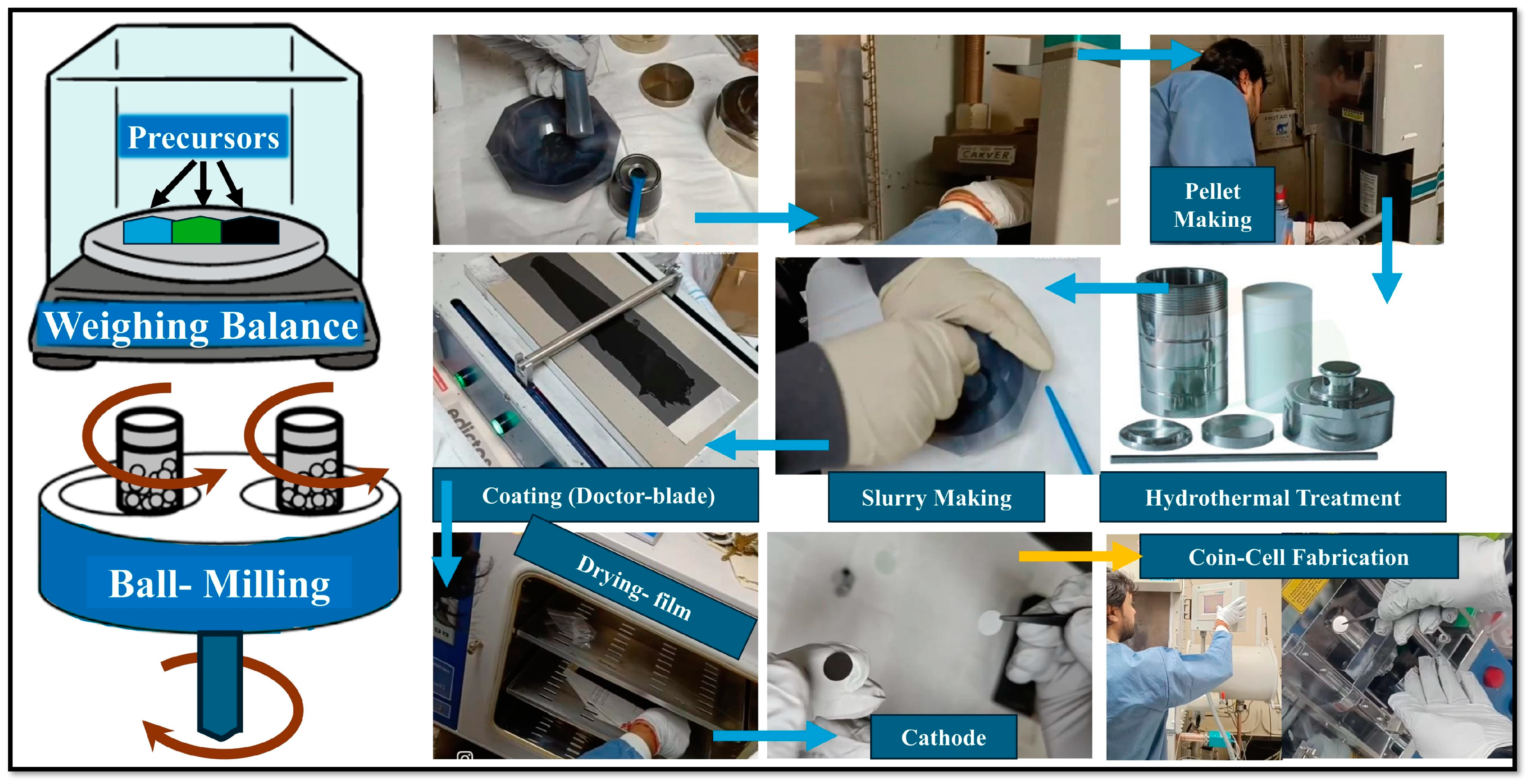 Molecules 29 05116 g008