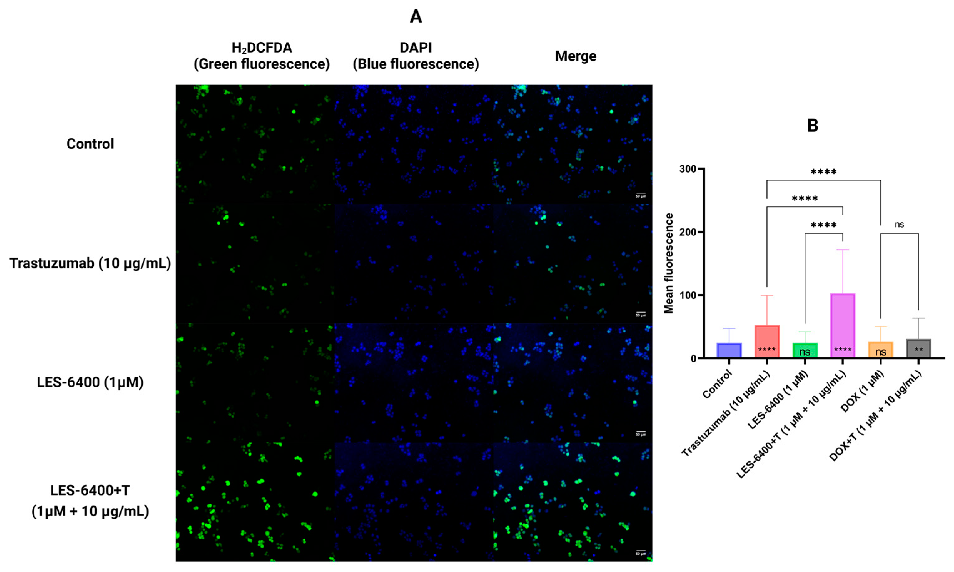 Molecules 29 05117 g006