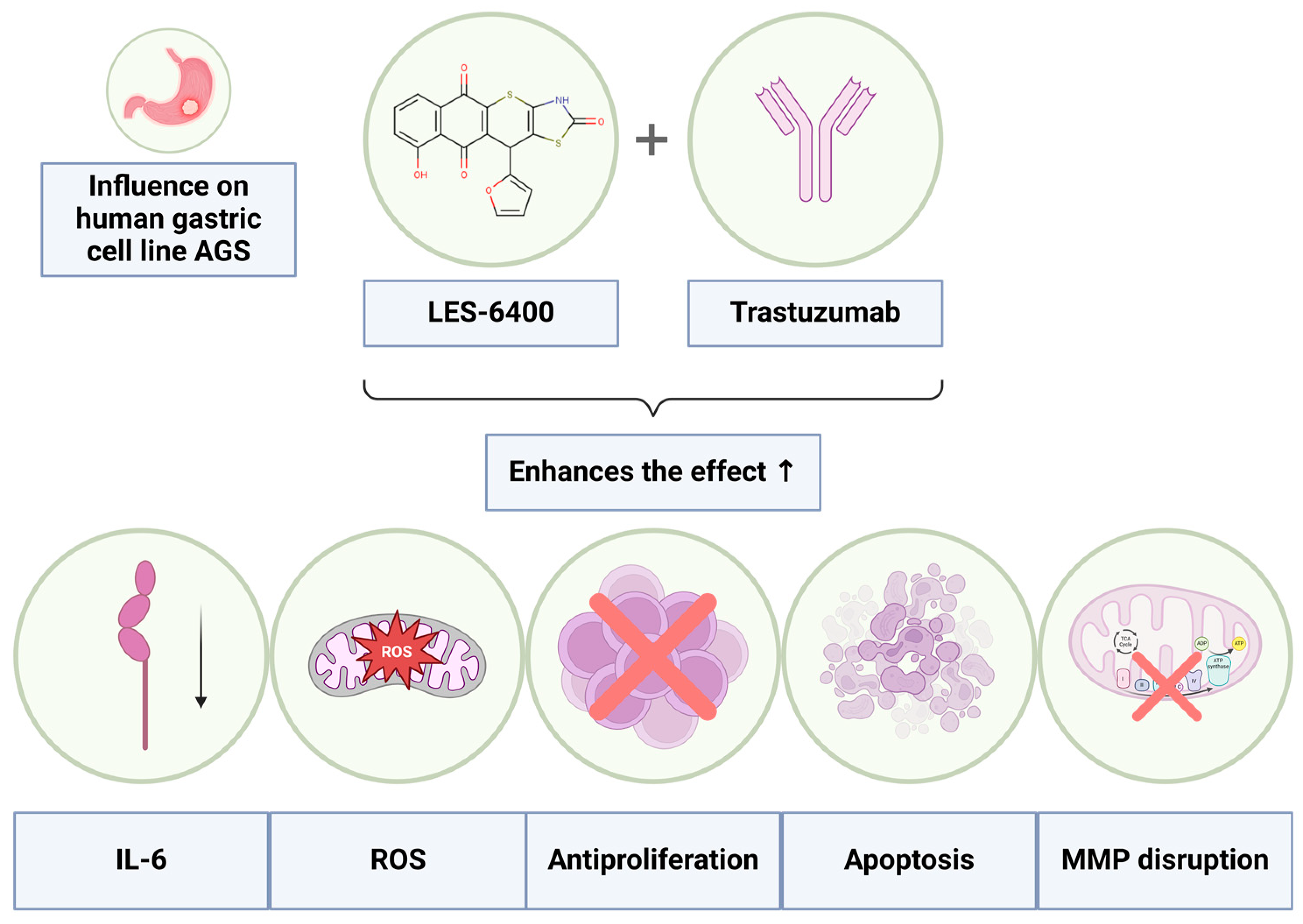 Molecules 29 05117 g012