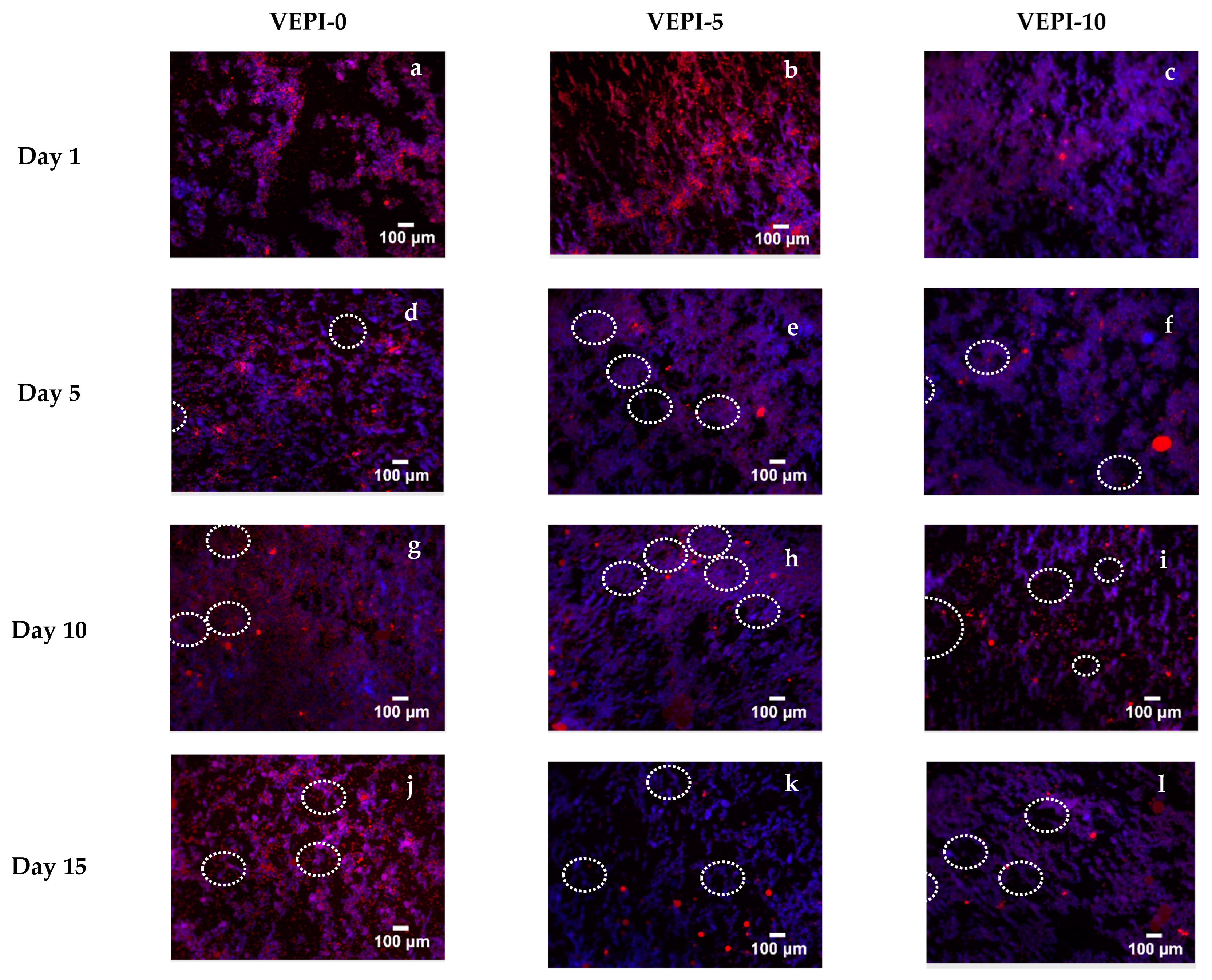 Molecules 29 05118 g005