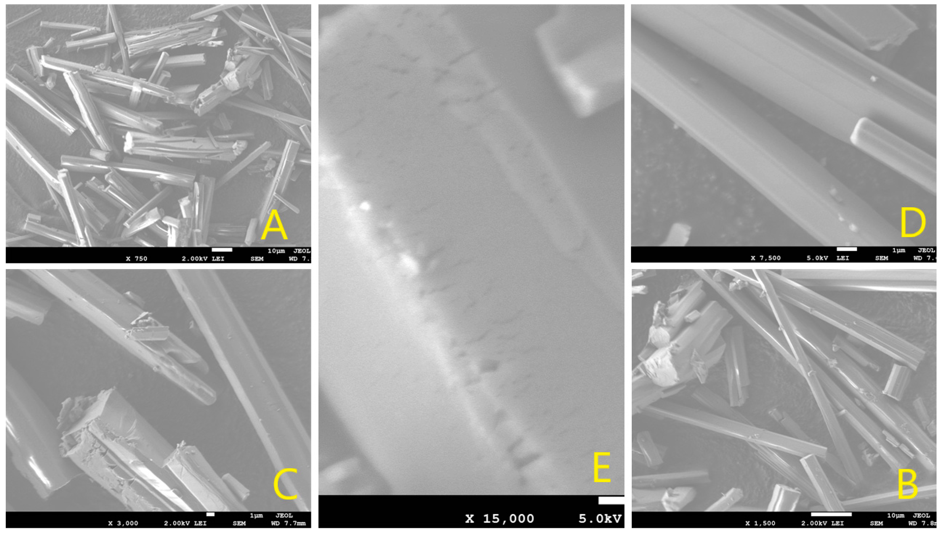 Molecules 29 05120 g007