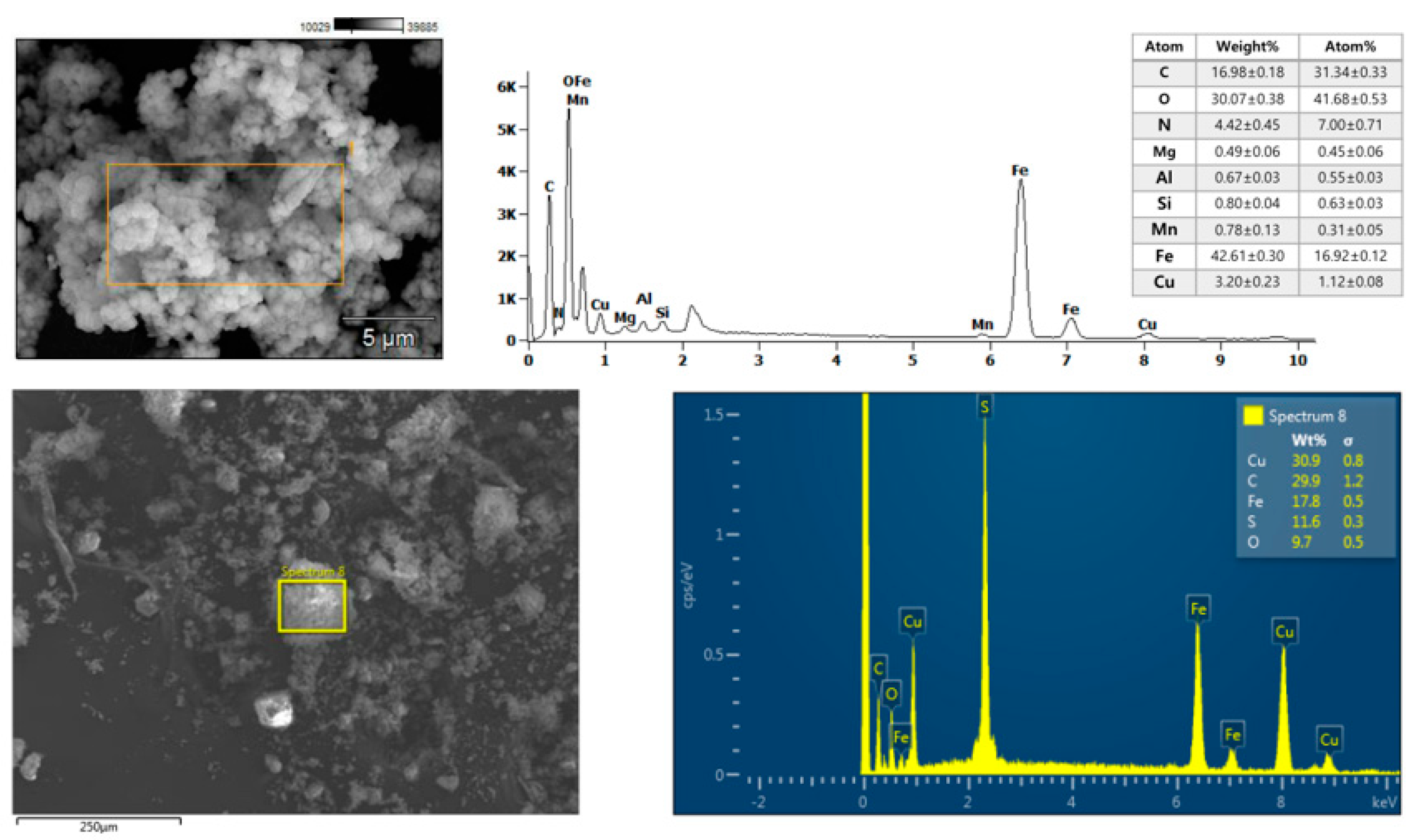 Molecules 29 05121 g002