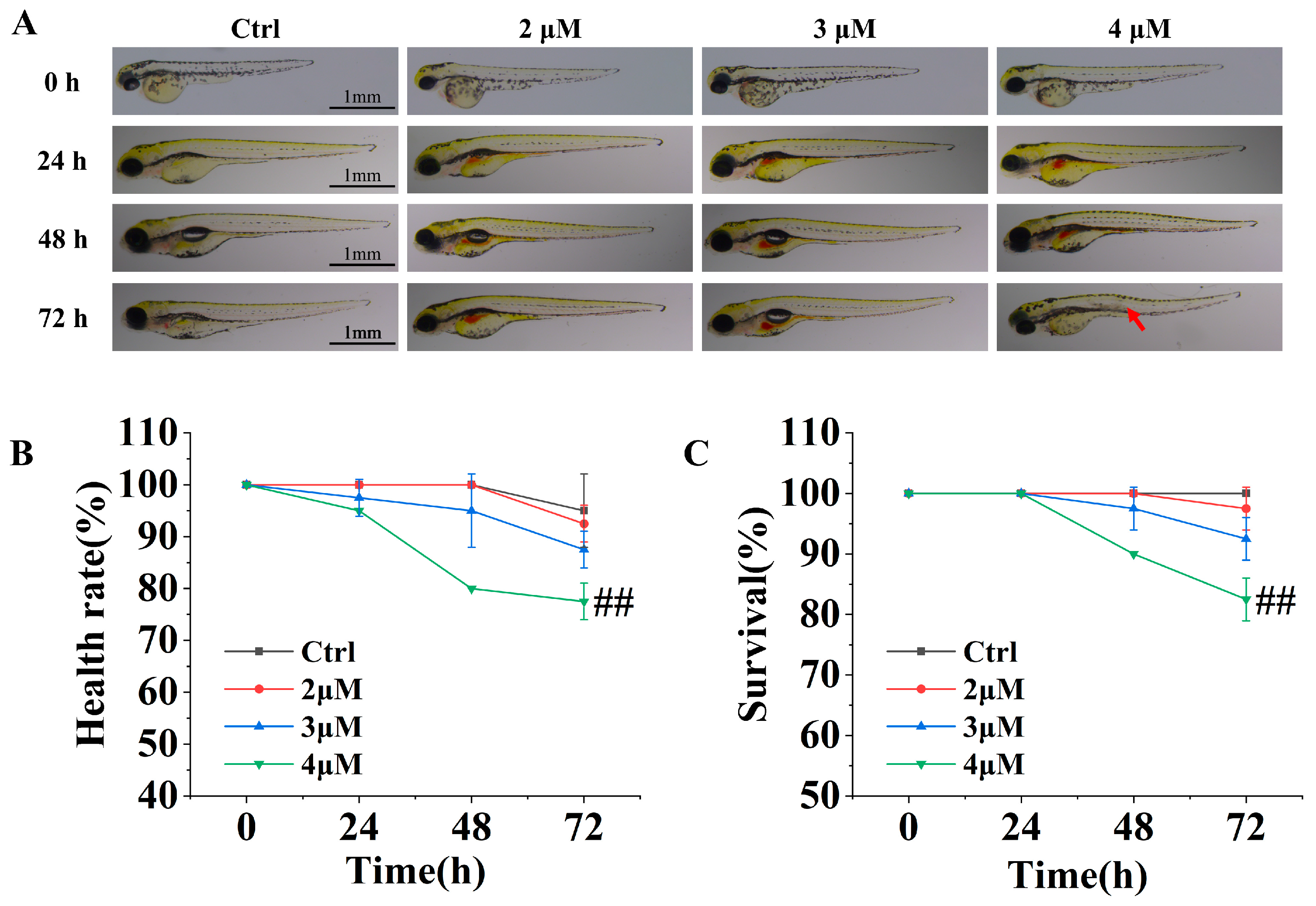 Molecules 29 05122 g002