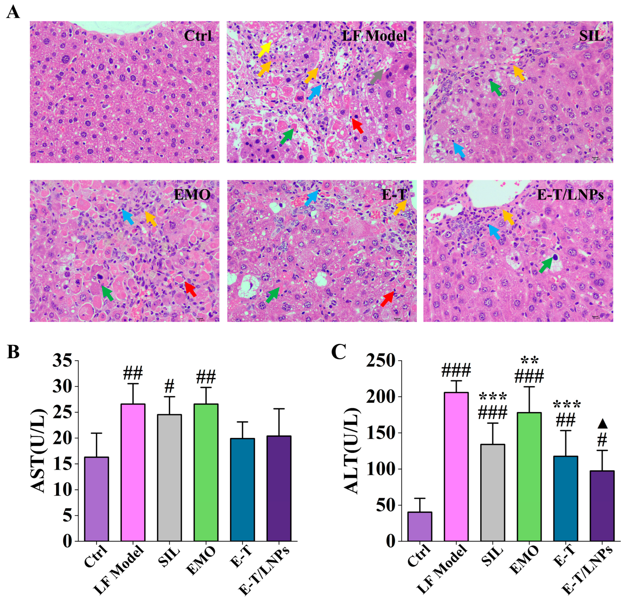 Molecules 29 05122 g005