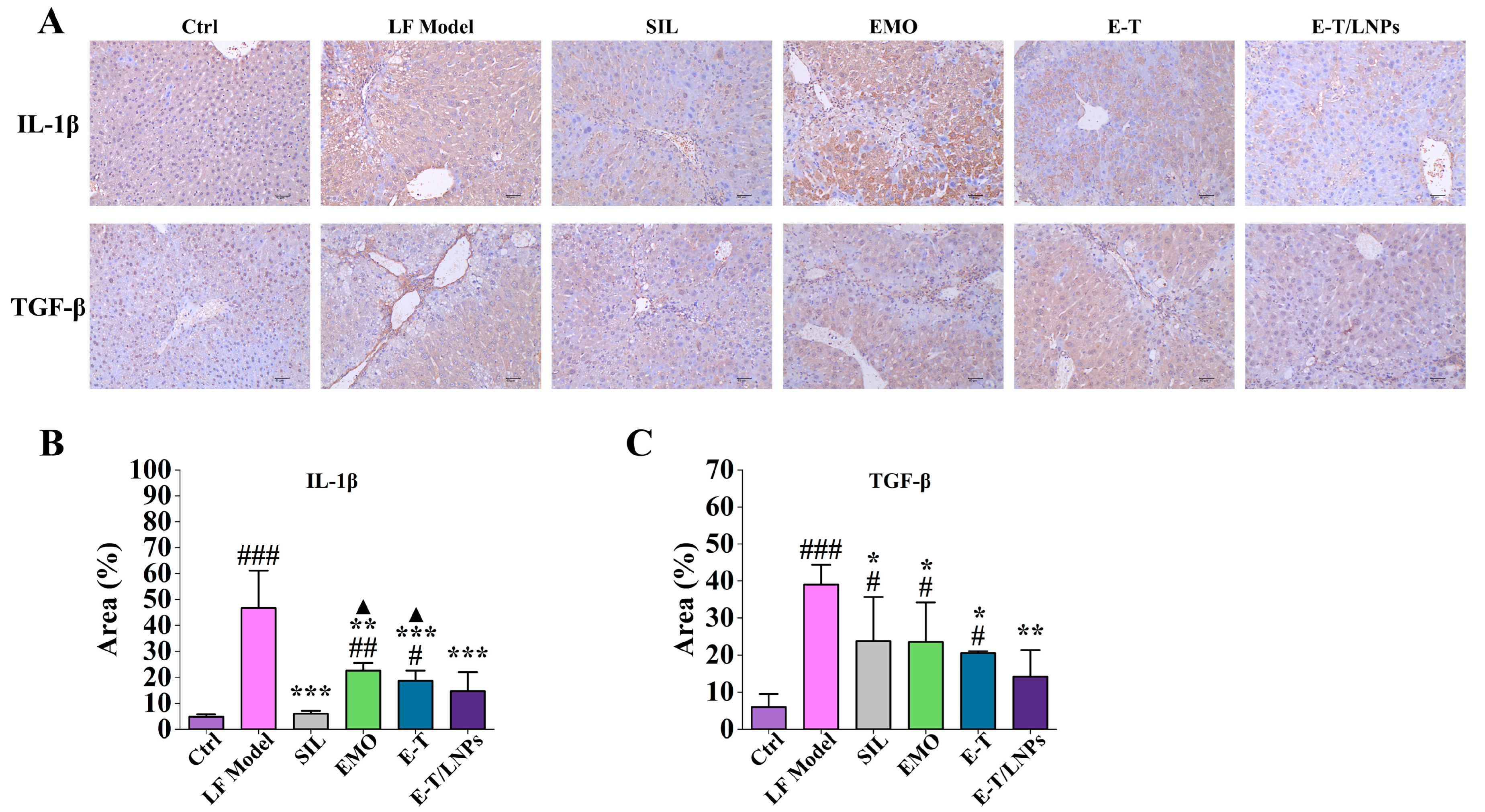 Molecules 29 05122 g006