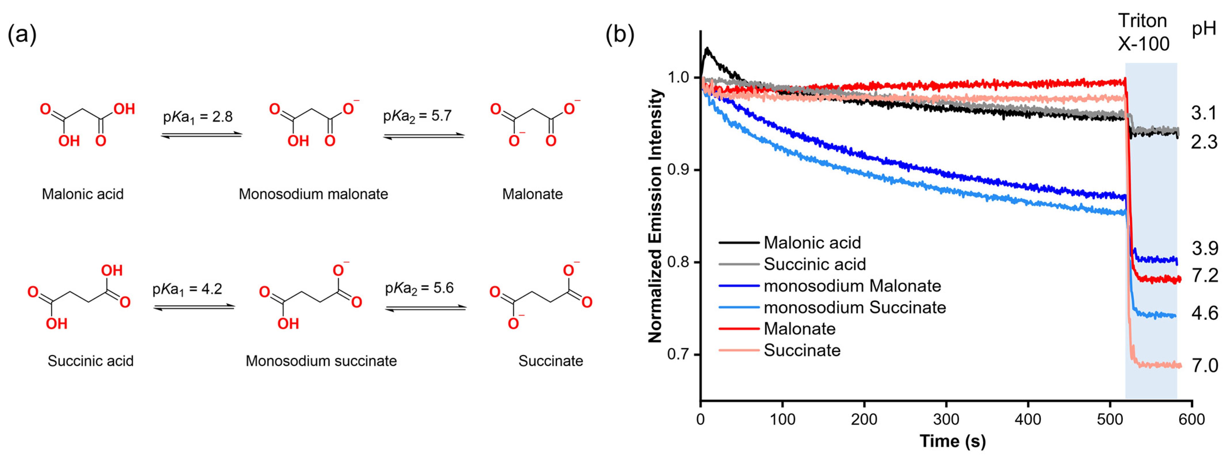 Molecules 29 05124 g002