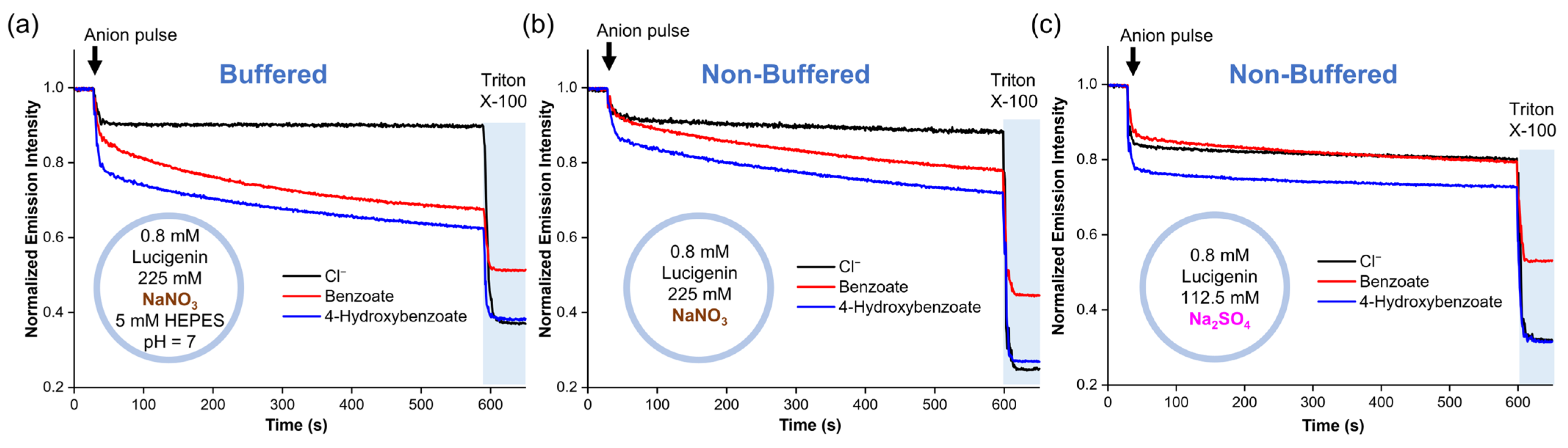 Molecules 29 05124 g003