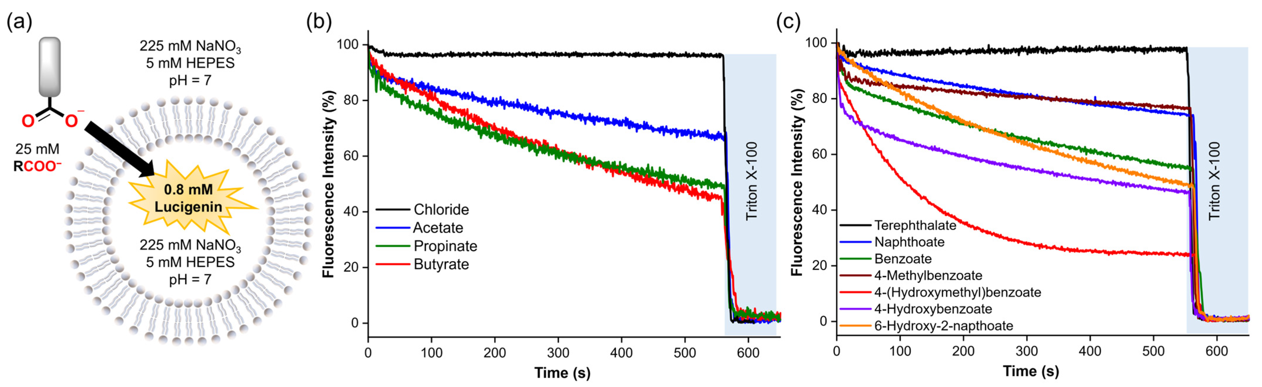 Molecules 29 05124 g005