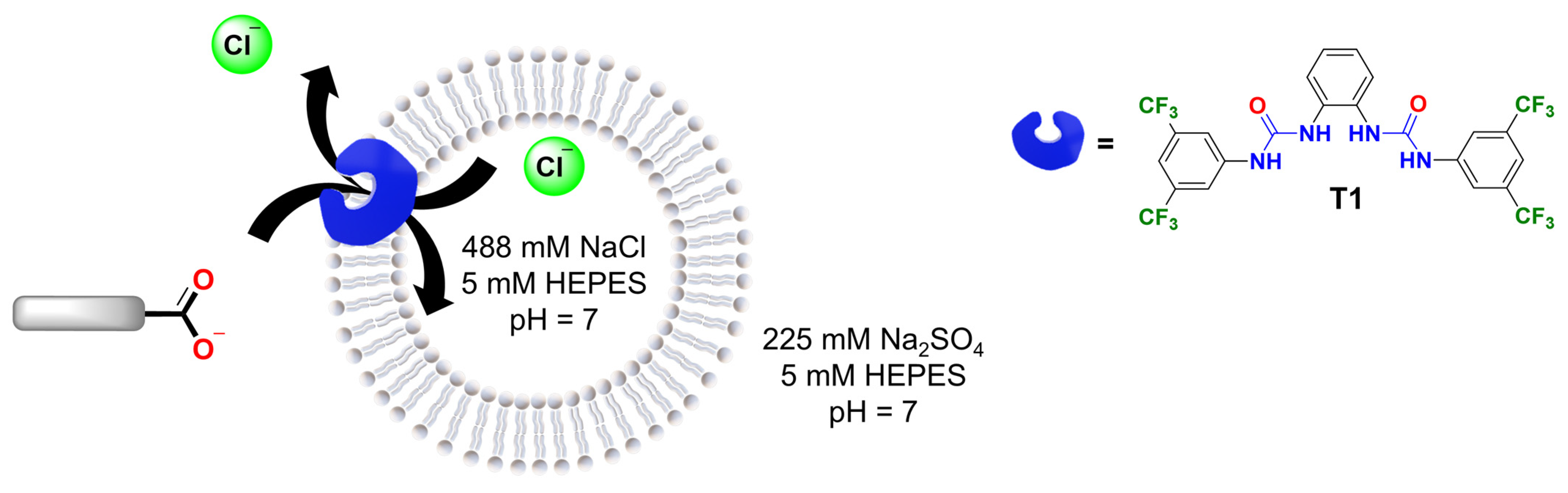 Molecules 29 05124 g006