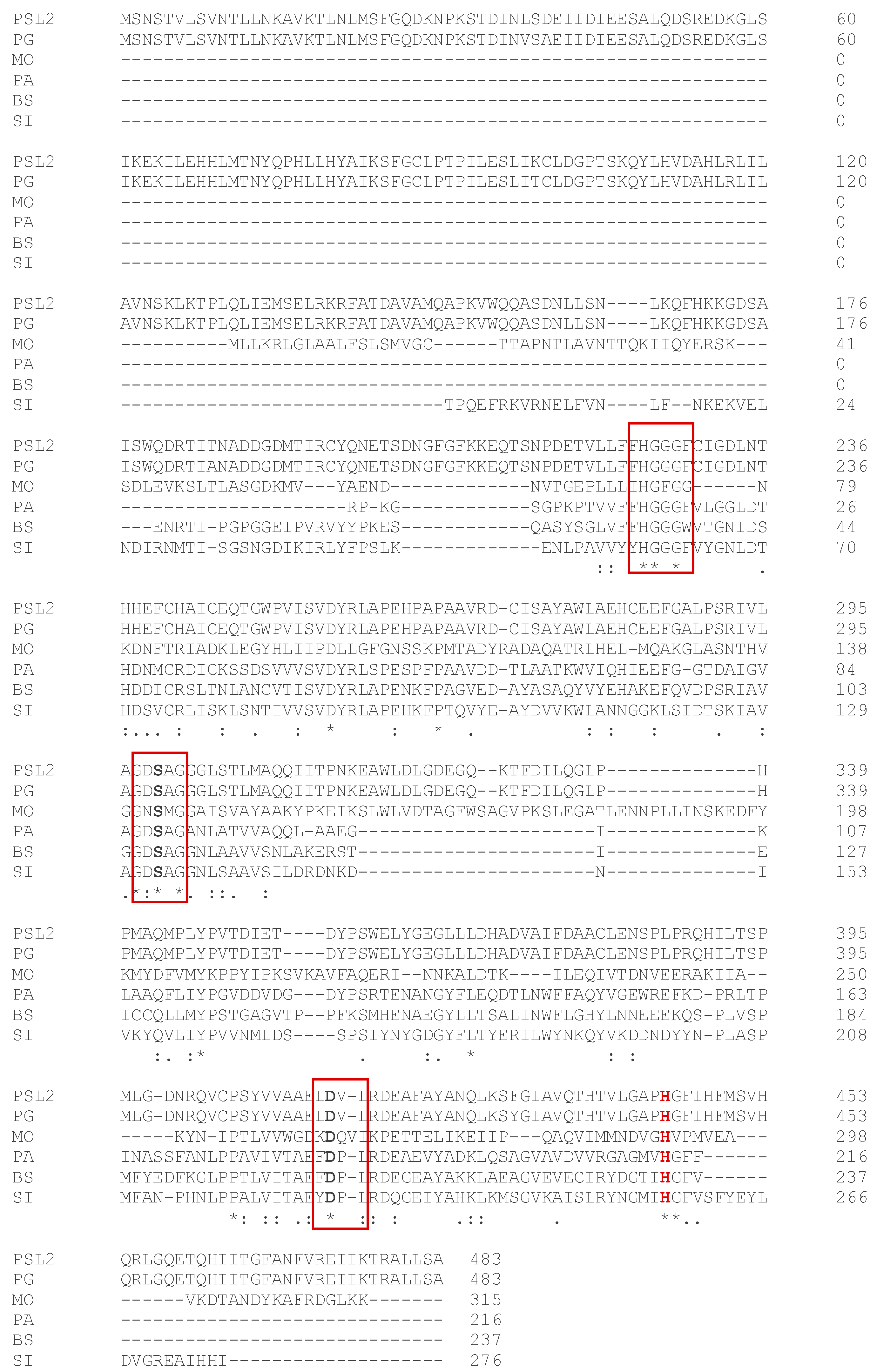 Molecules 29 05125 g001