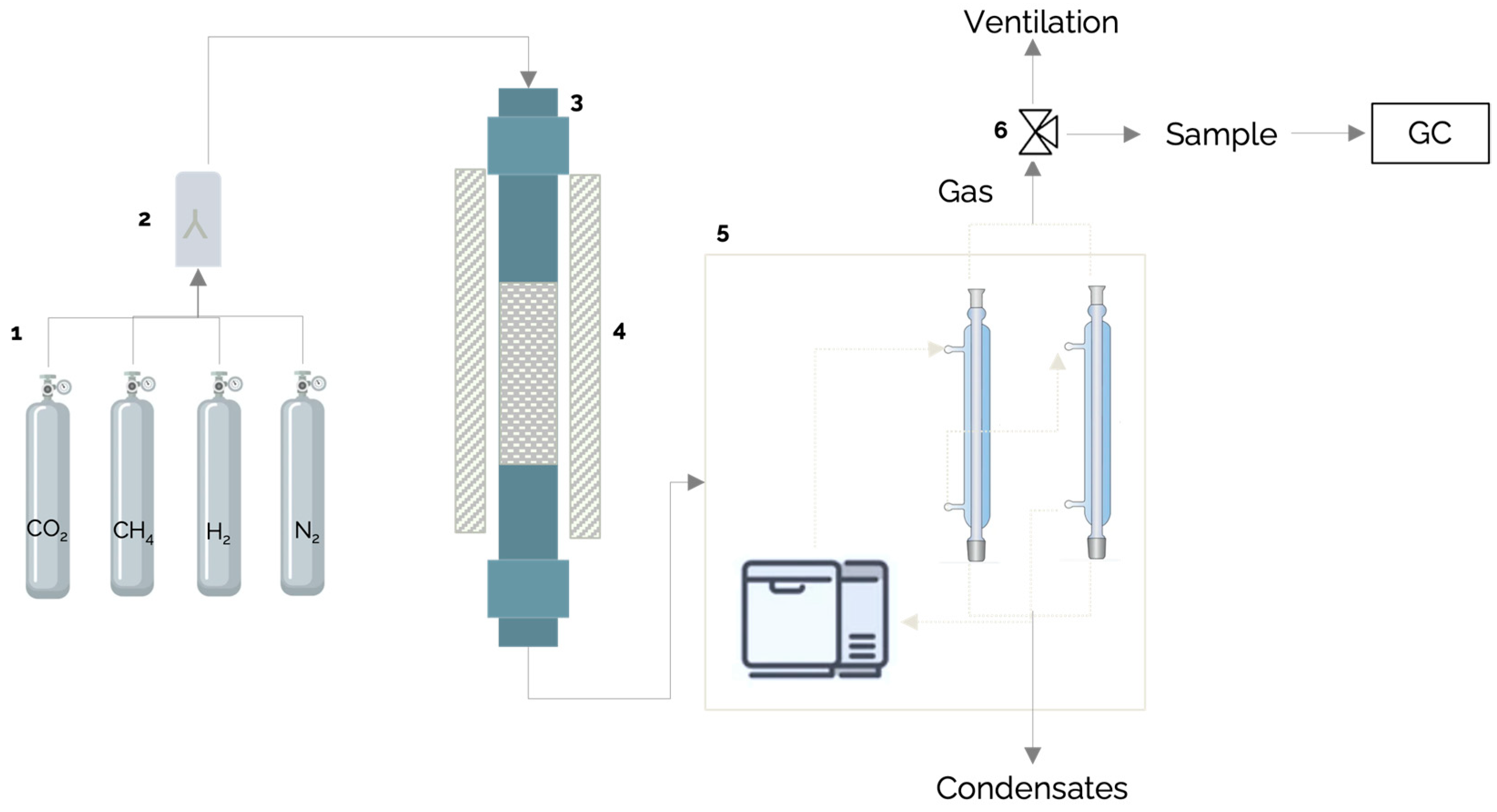 Molecules 29 05126 g012