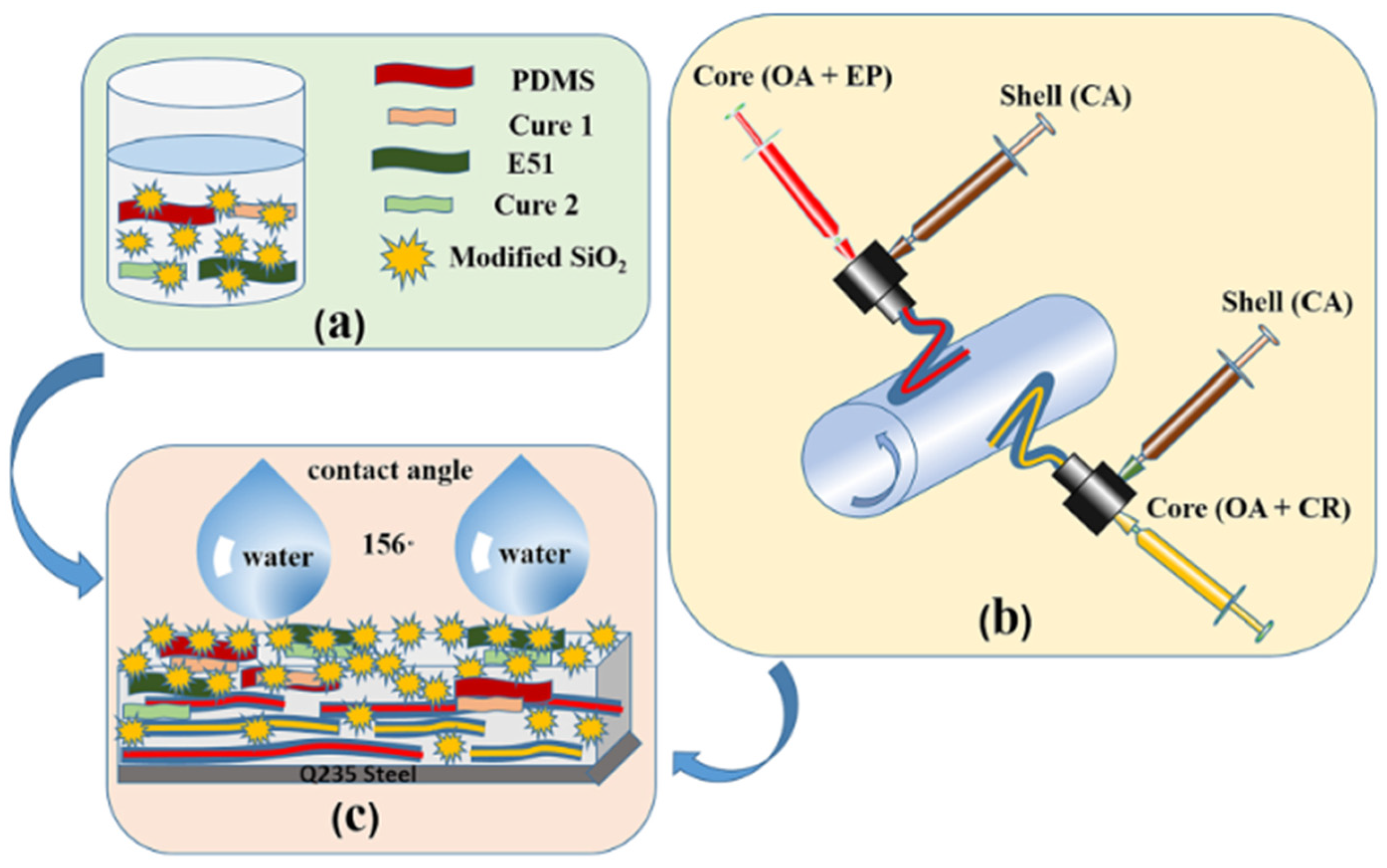 Molecules 29 05127 g004
