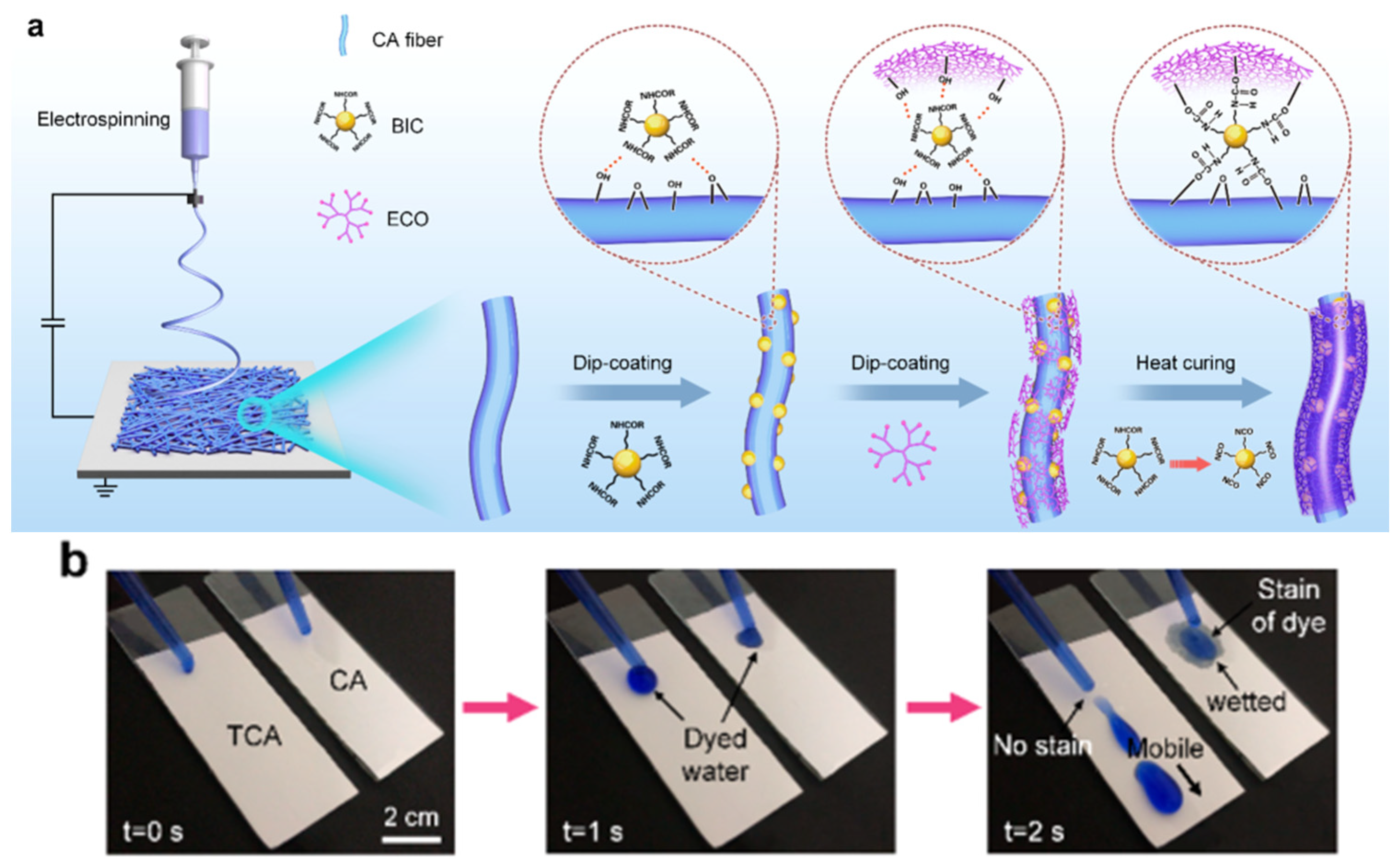 Molecules 29 05127 g005