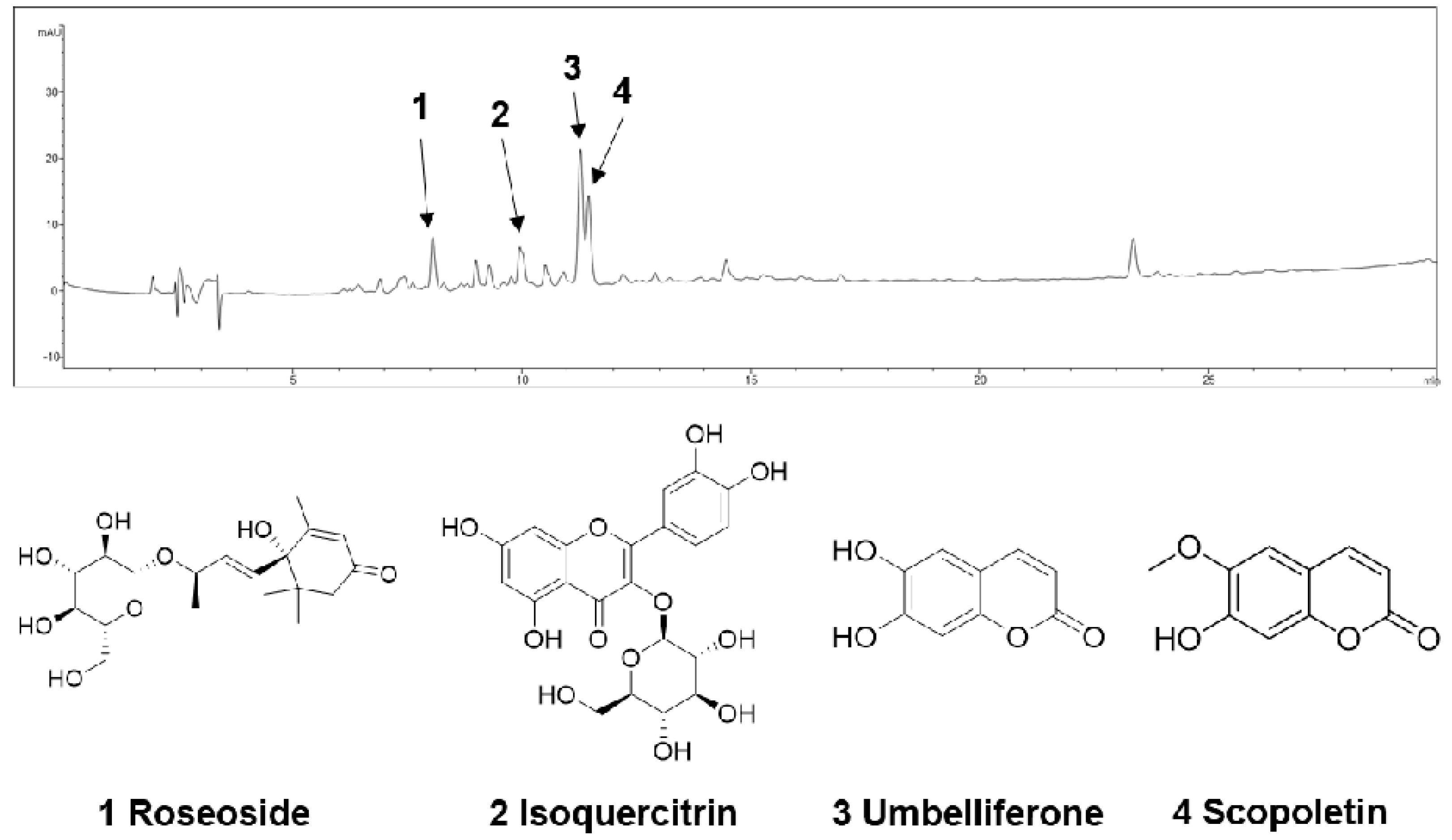 Molecules 29 05130 g003