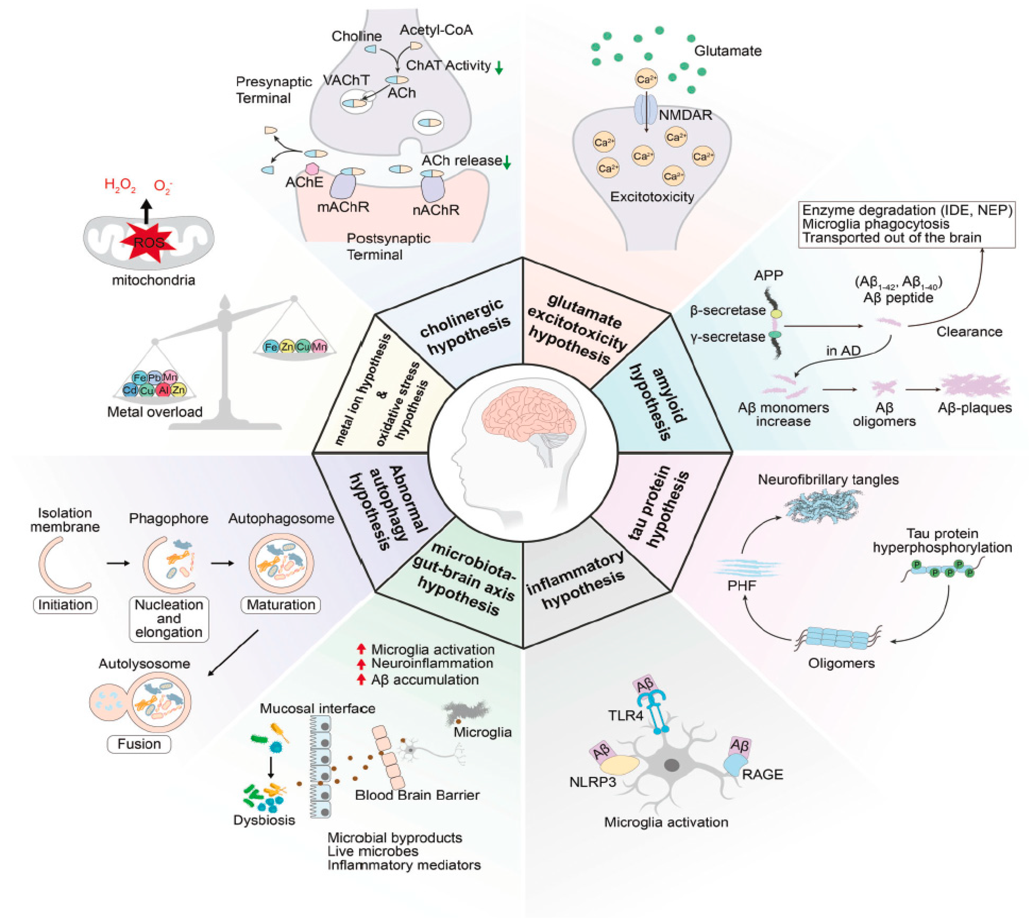 Molecules 29 05131 g001