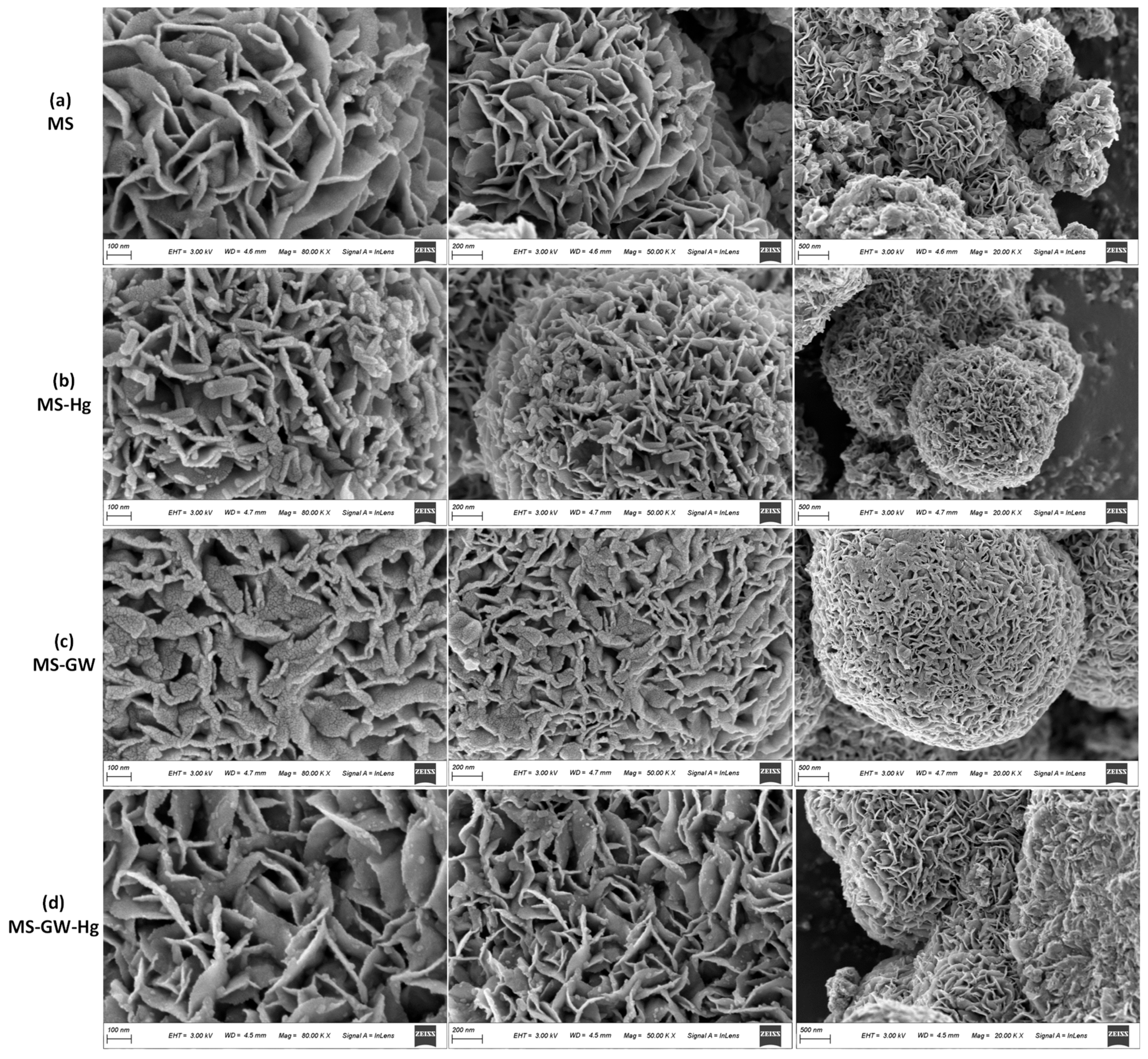 Molecules 29 05132 g001