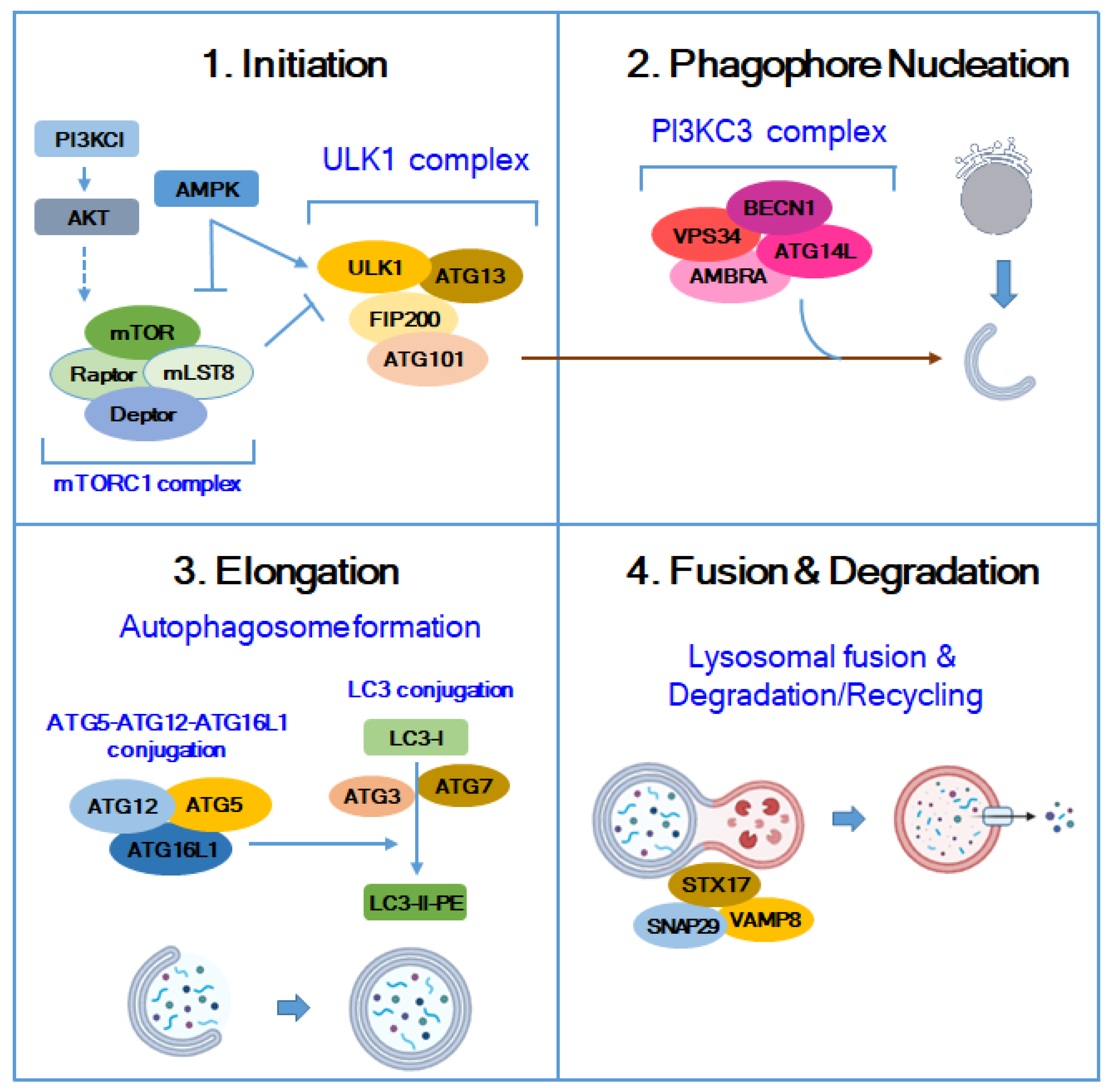 Molecules 29 05134 g001