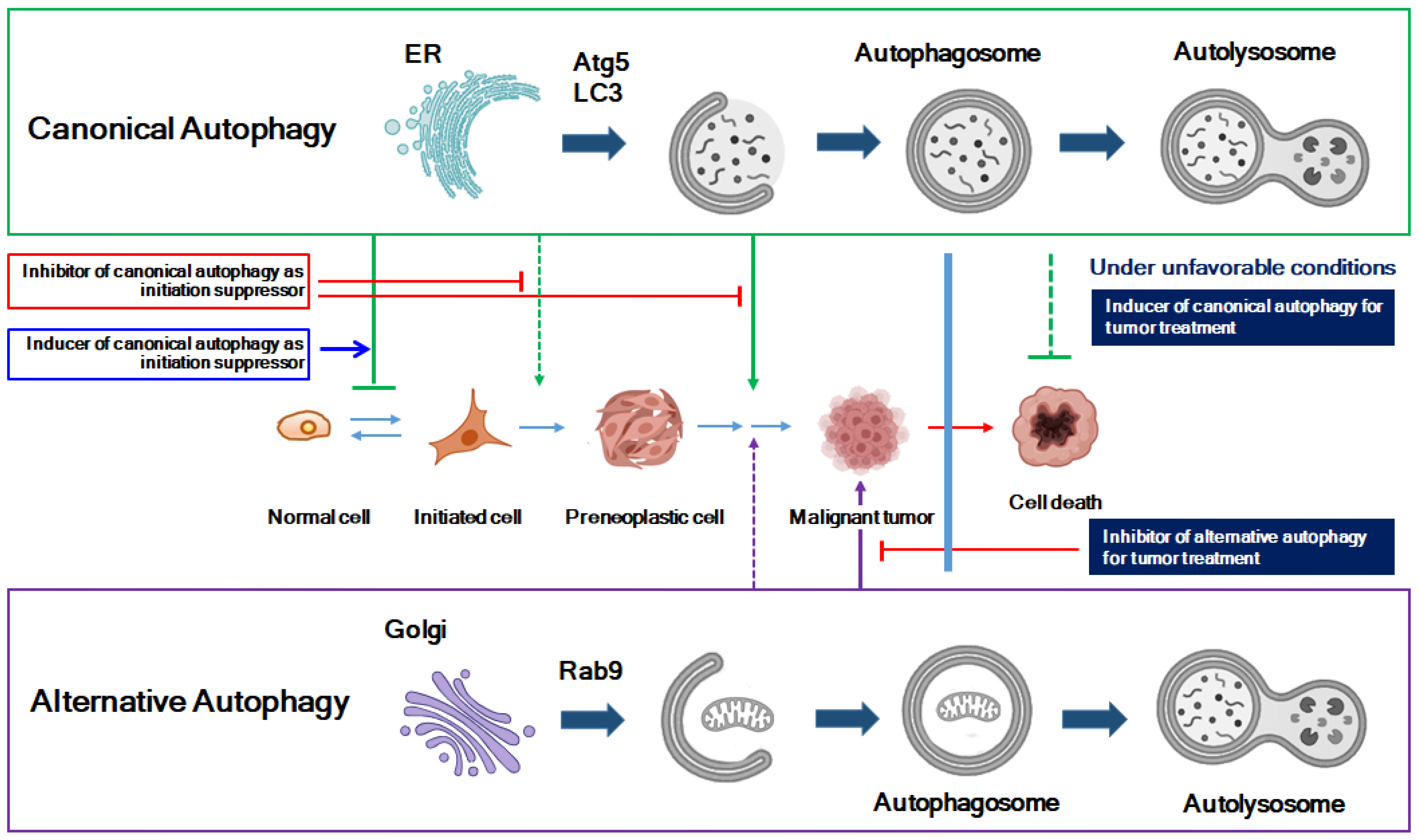 Molecules 29 05134 g003