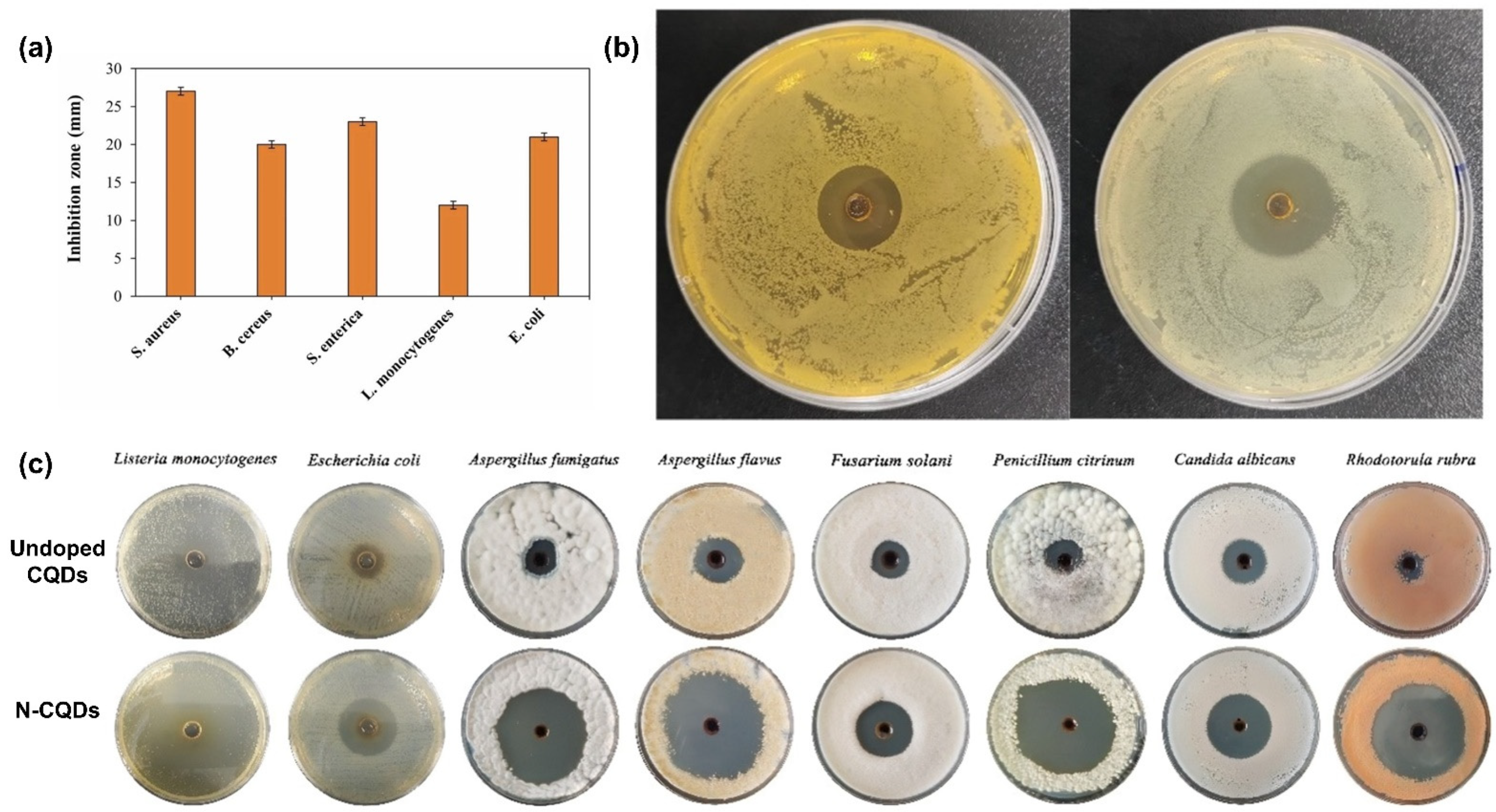 Molecules 29 05138 g006