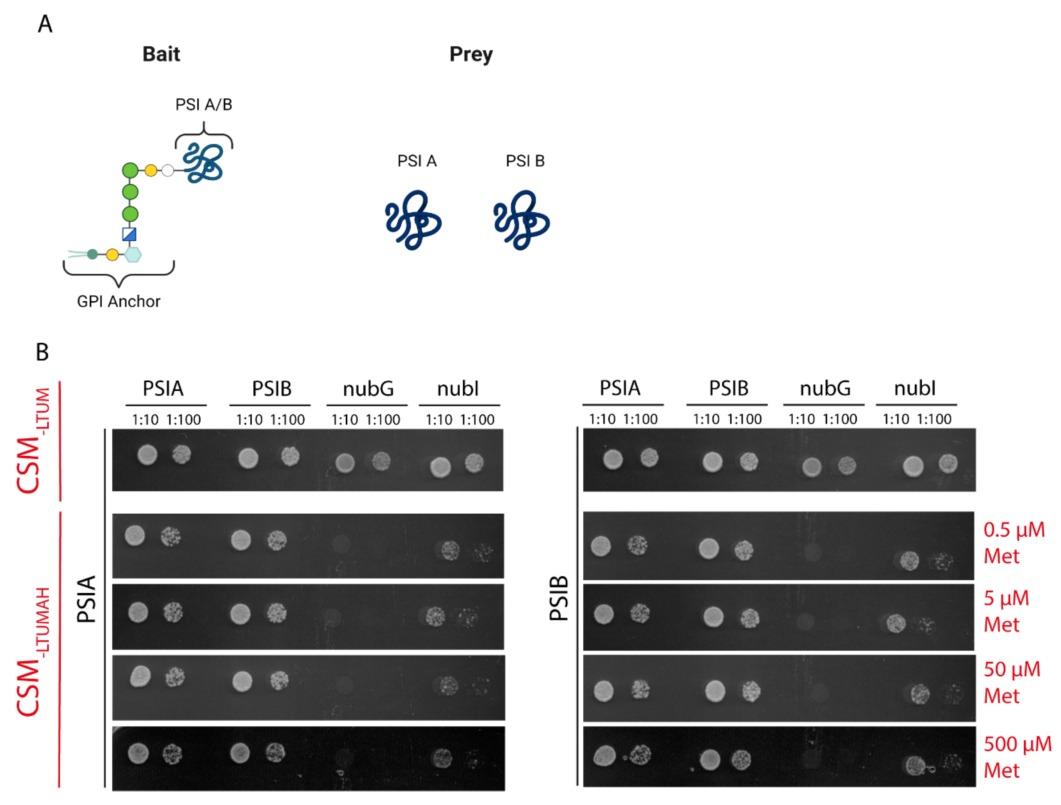 Molecules 29 05139 g002