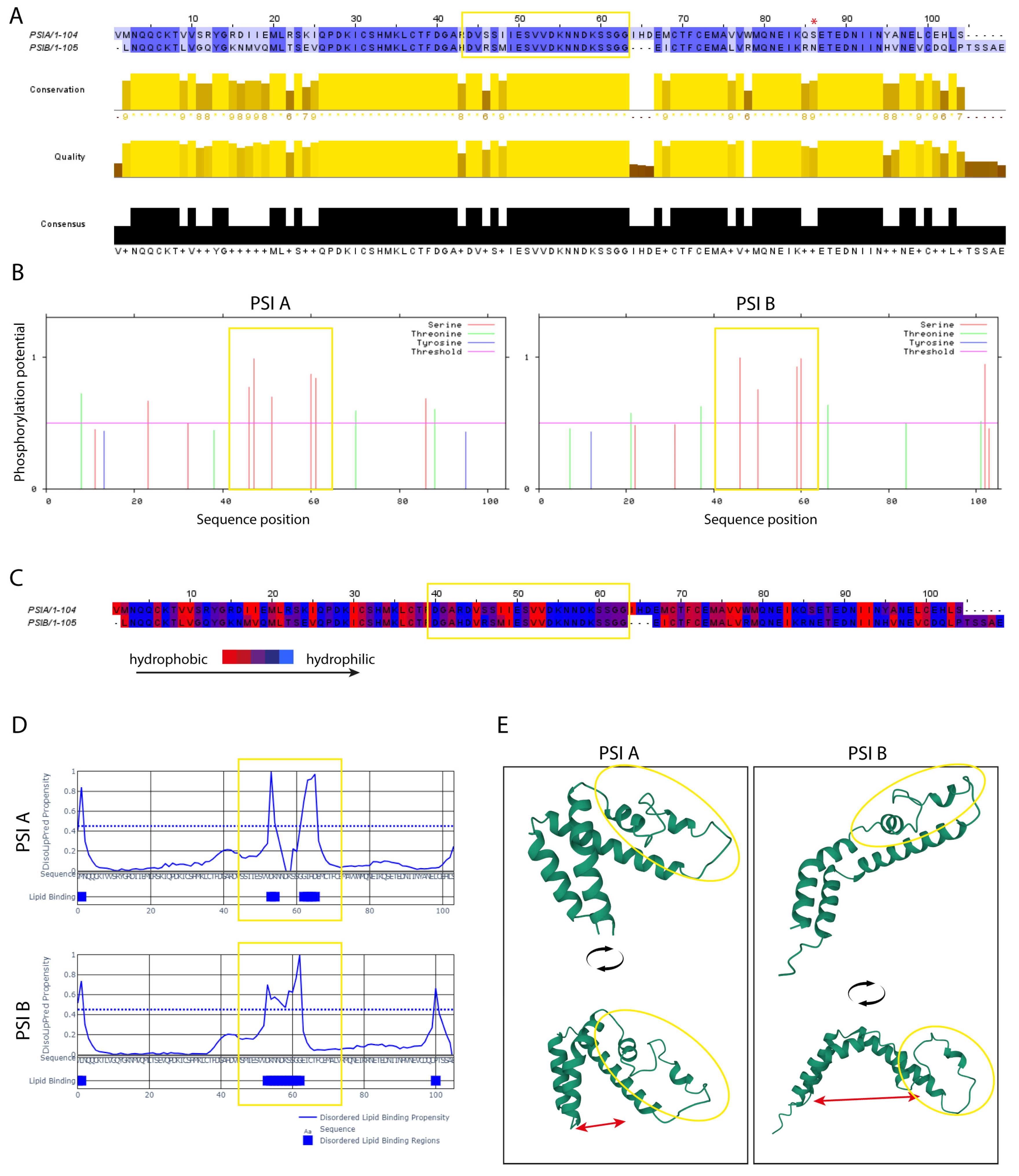 Molecules 29 05139 g004