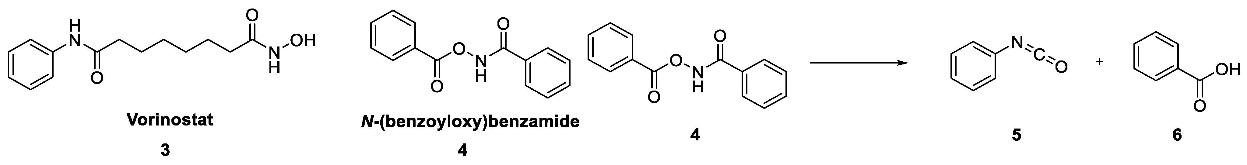Molecules 29 05143 g002