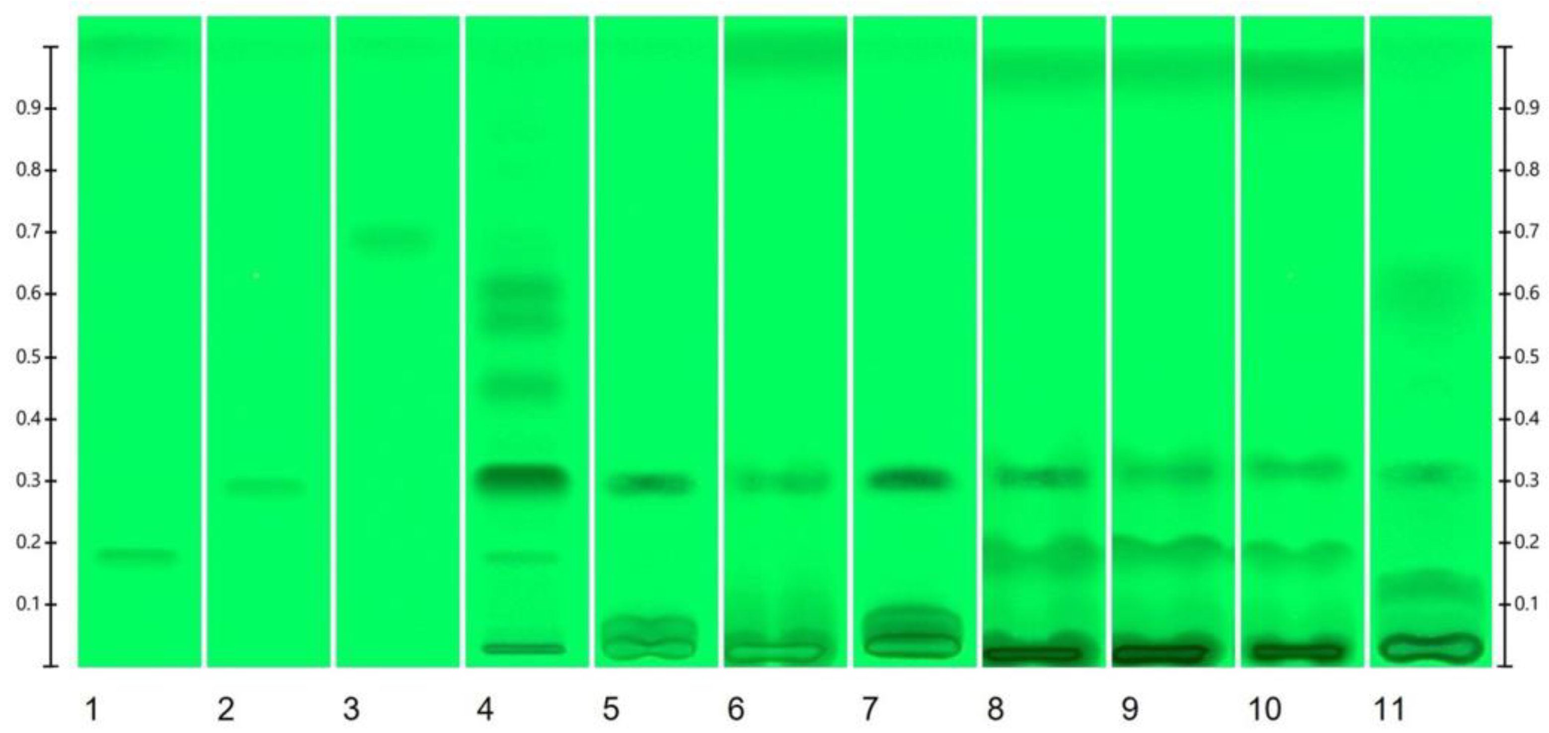 Molecules 29 05145 g001