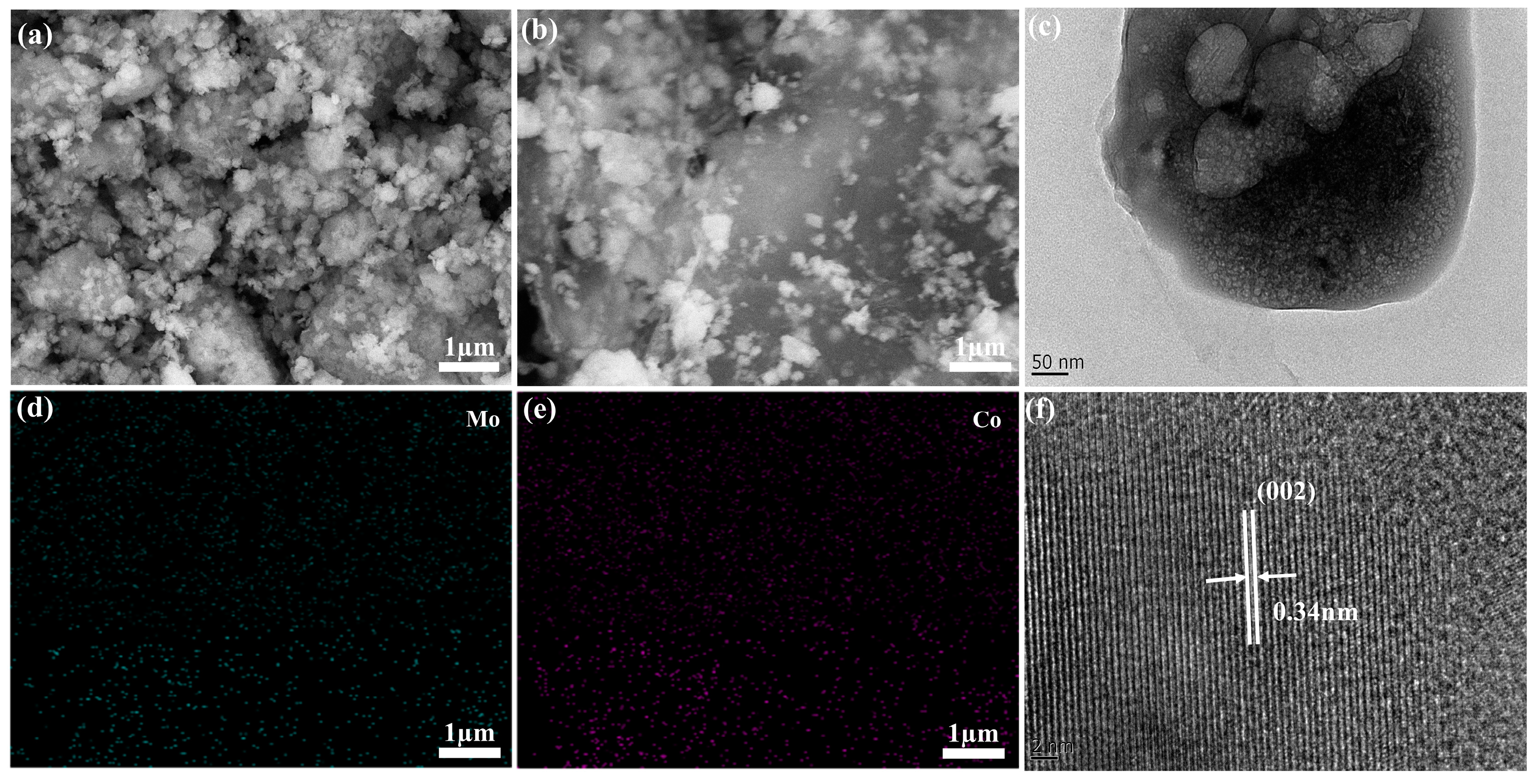 Molecules 29 05146 g001