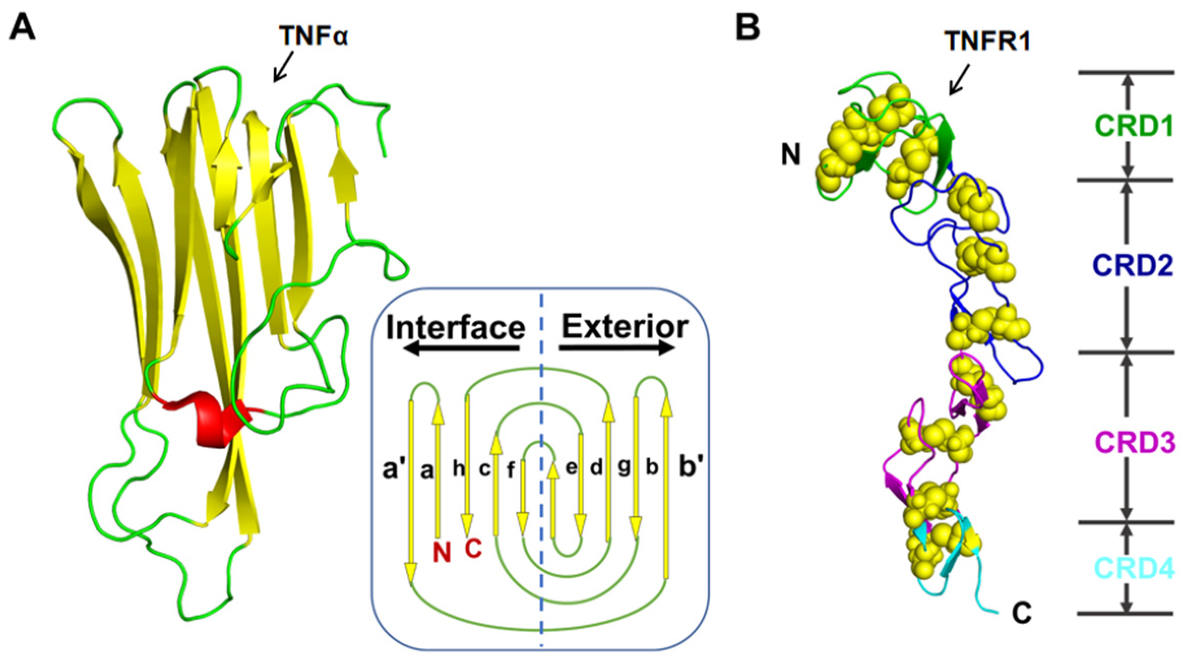 Molecules 29 05147 g001