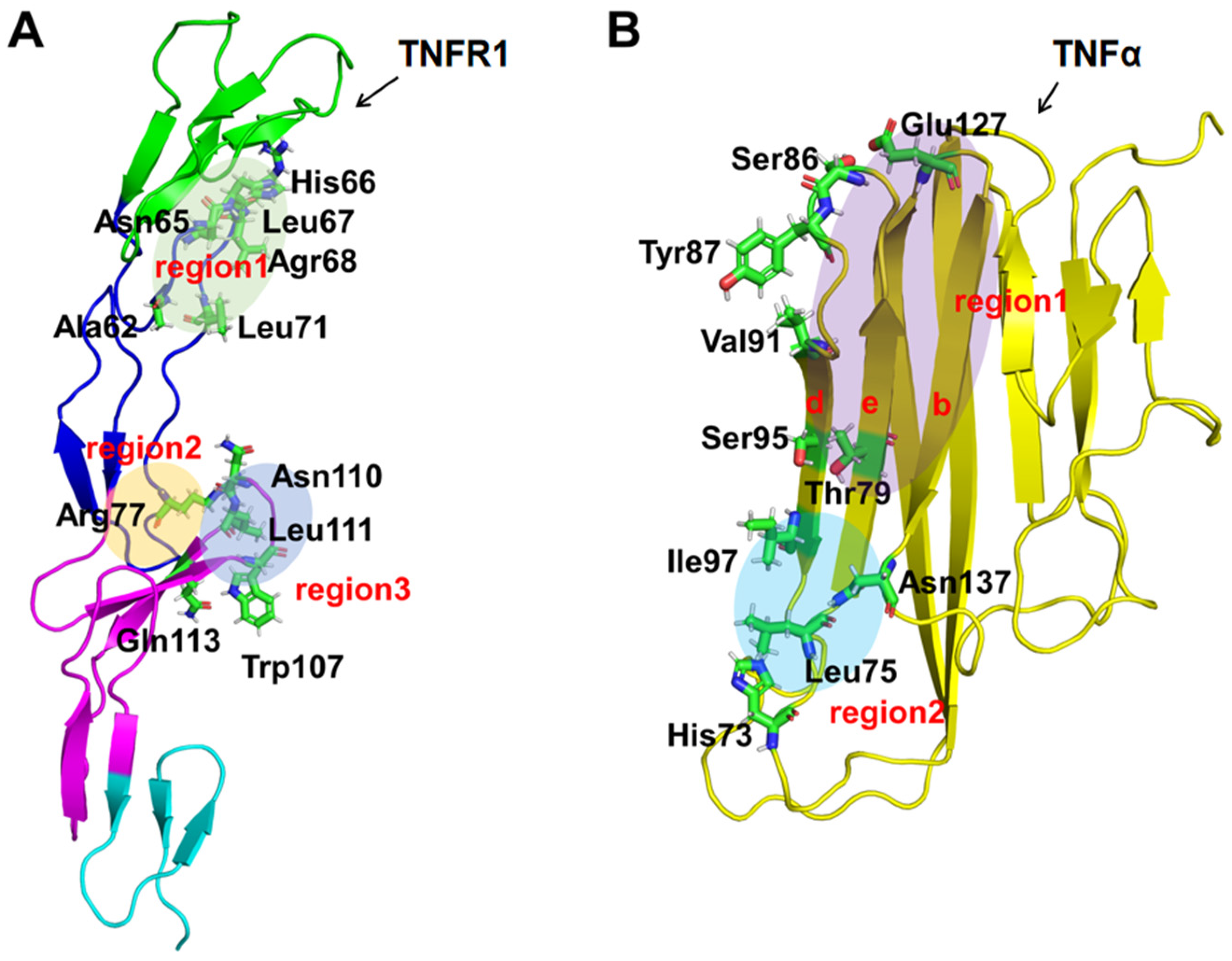 Molecules 29 05147 g005