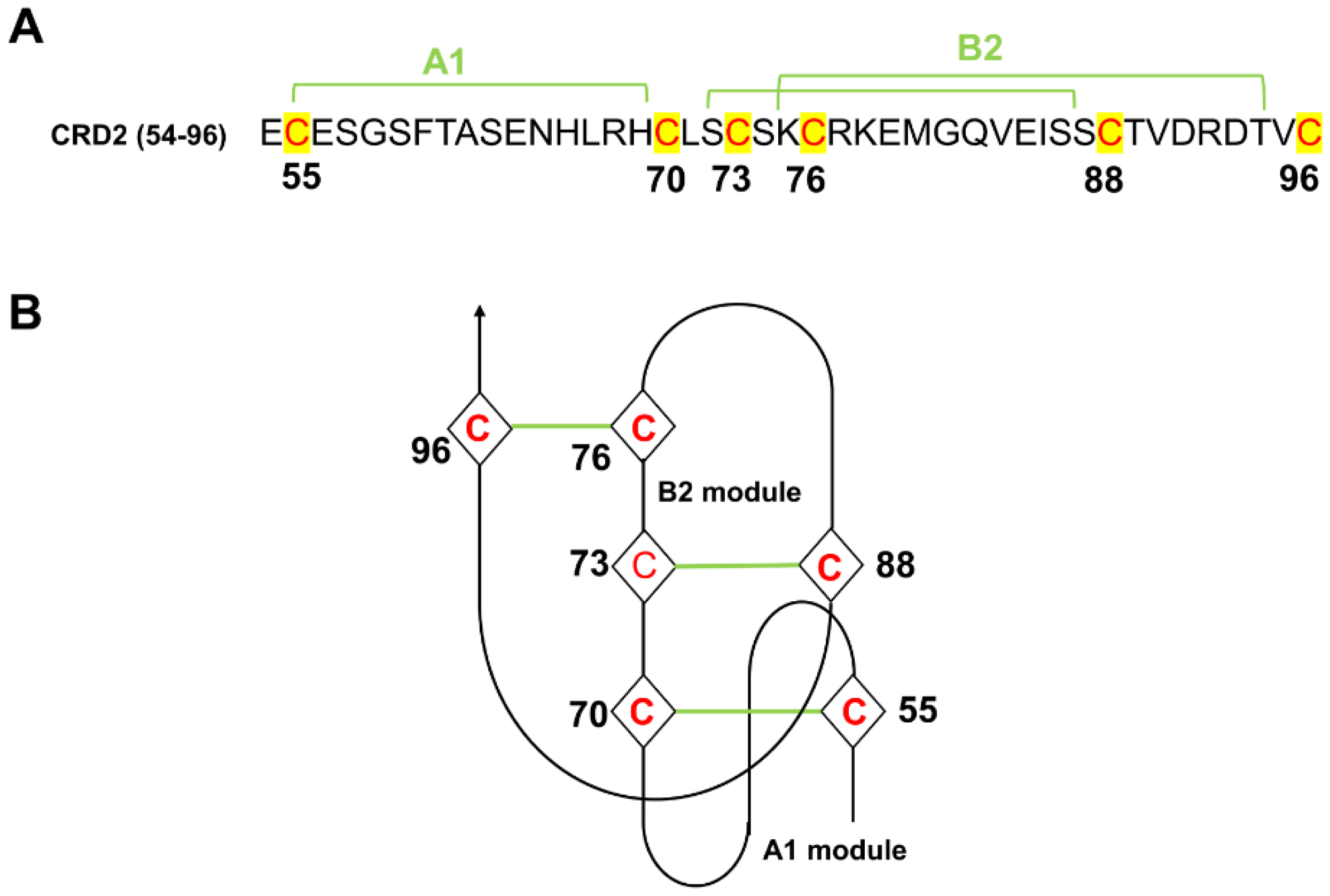 Molecules 29 05147 g006