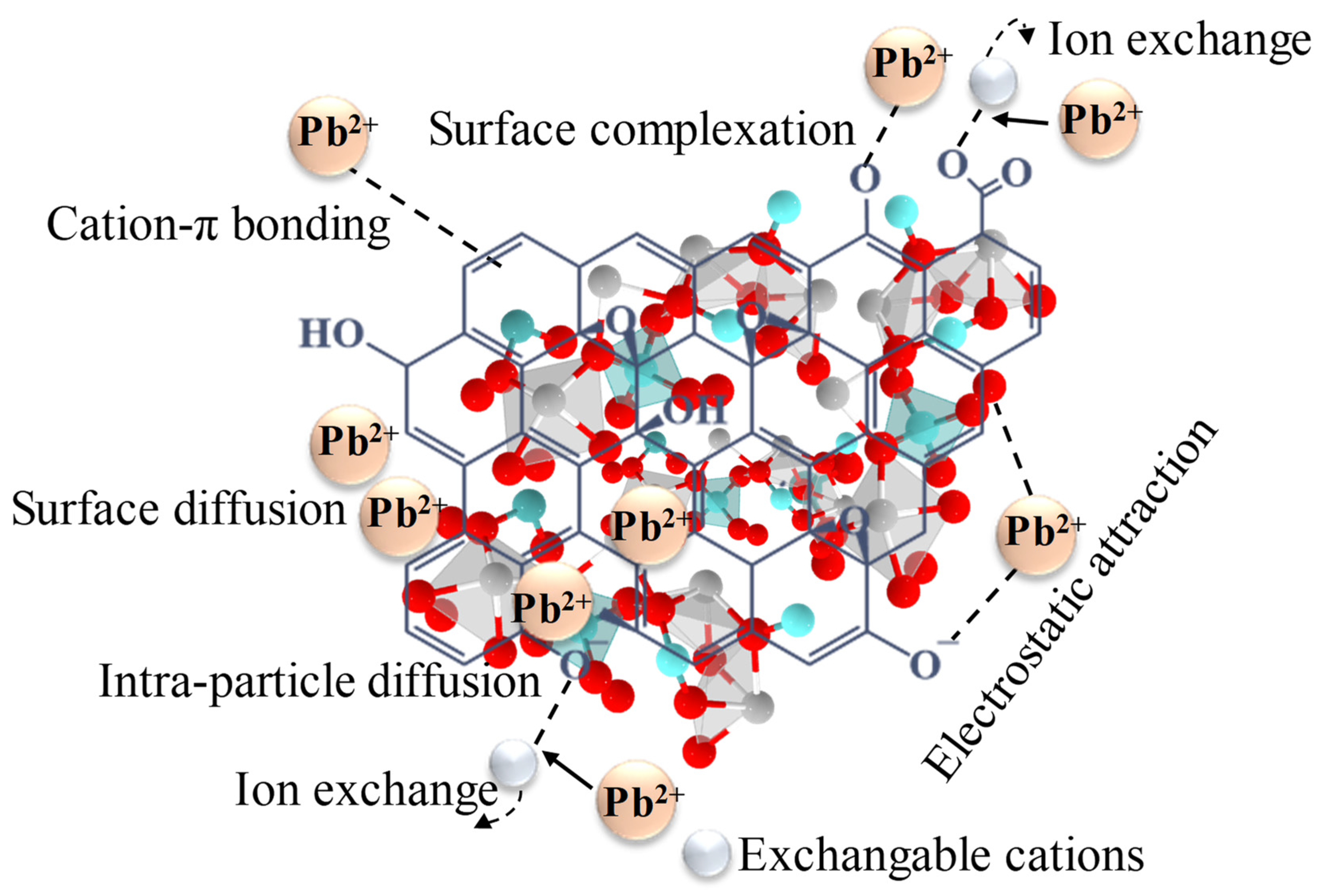 Molecules 29 05152 g007