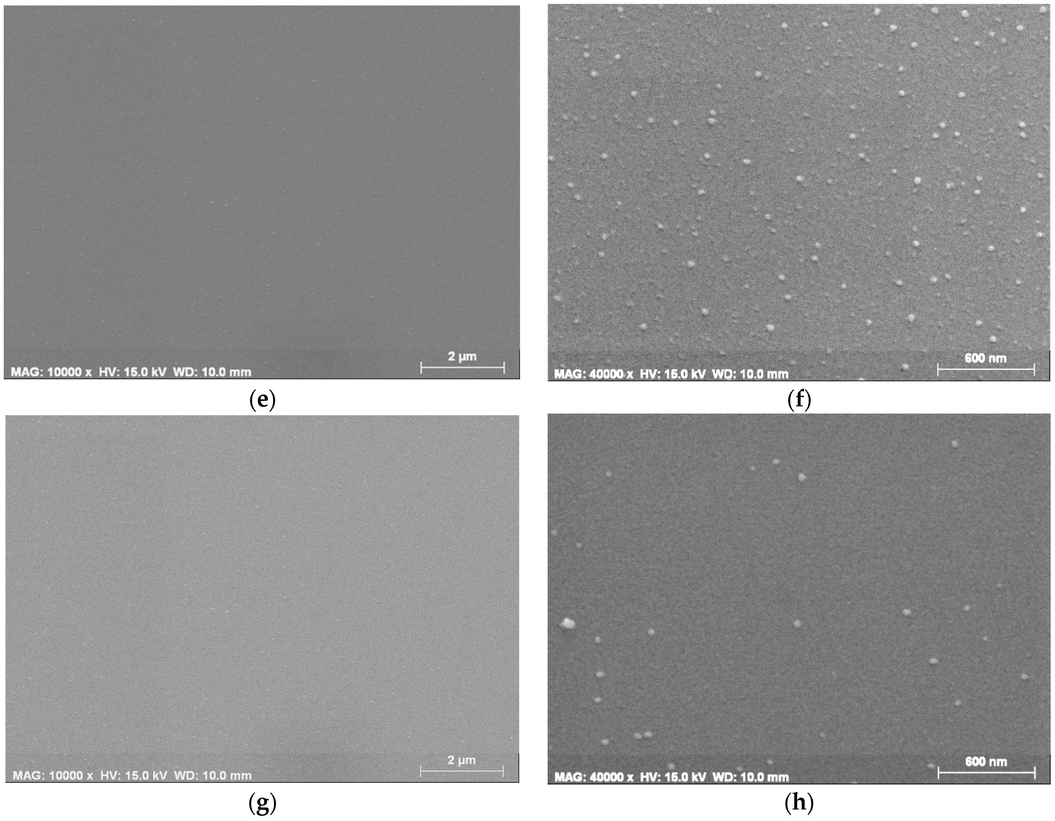 Molecules 29 05156 g001b