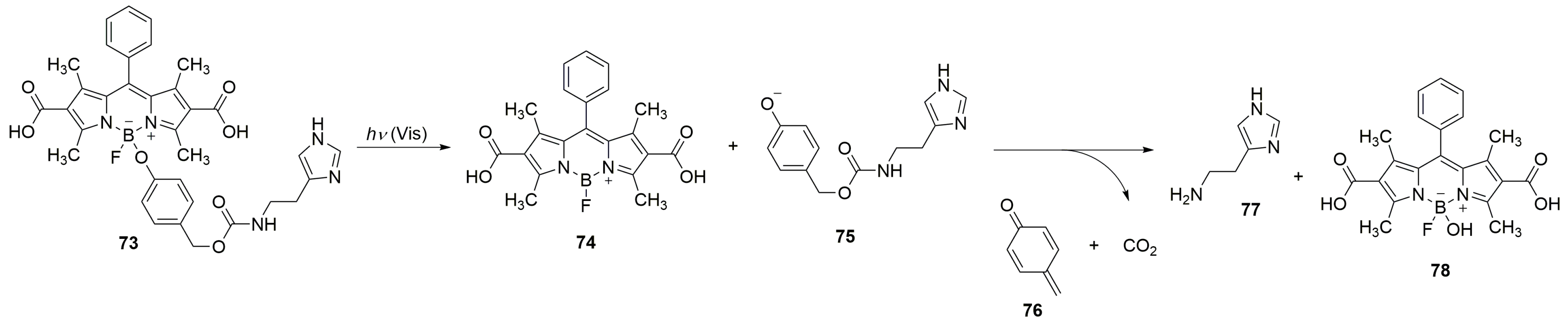 Molecules 29 05157 sch024