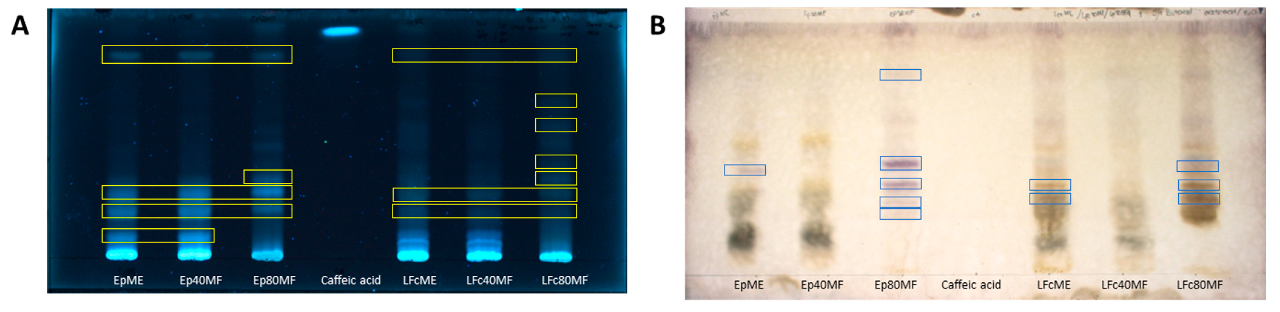 Molecules 29 05158 g001