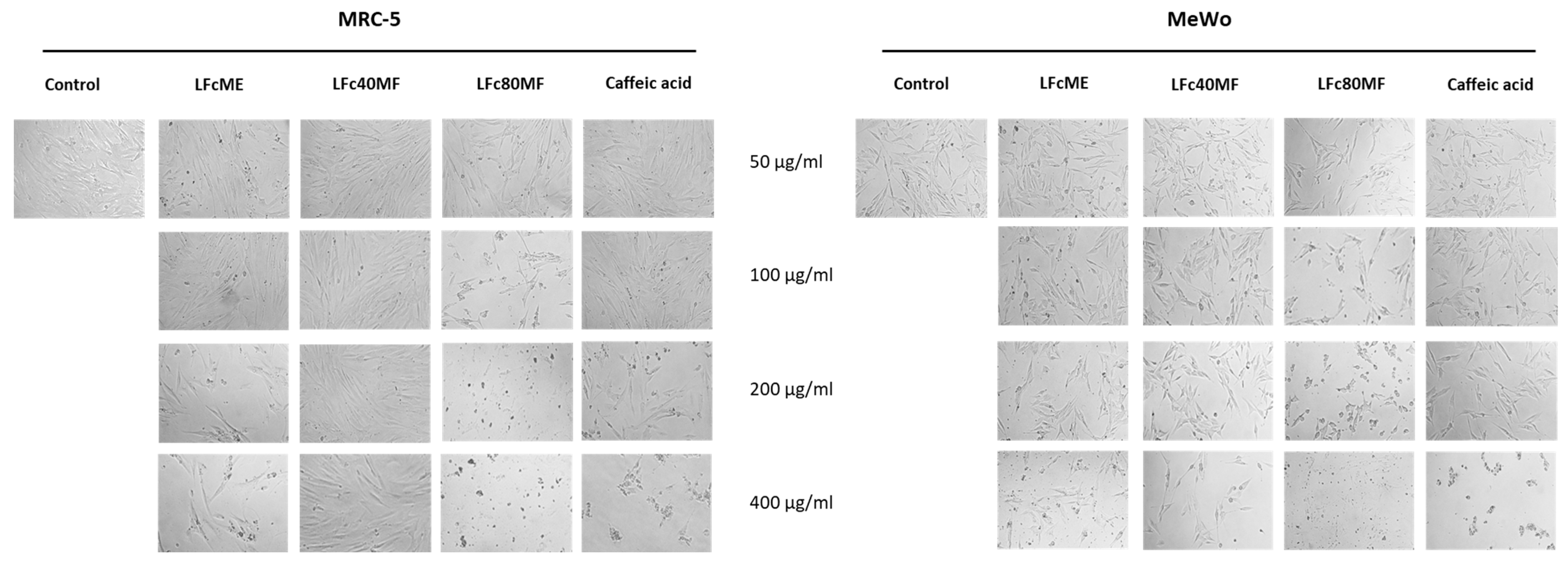 Molecules 29 05158 g007