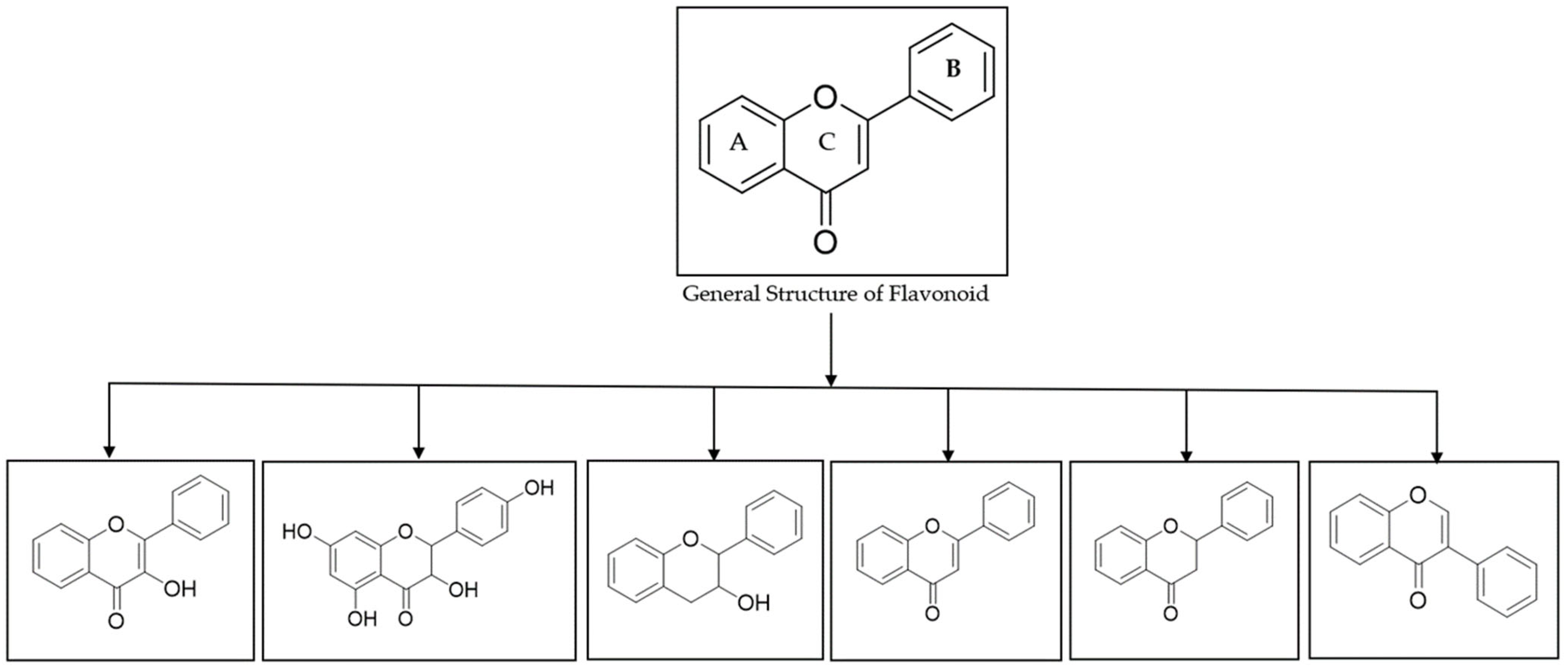 Molecules 29 05161 g001